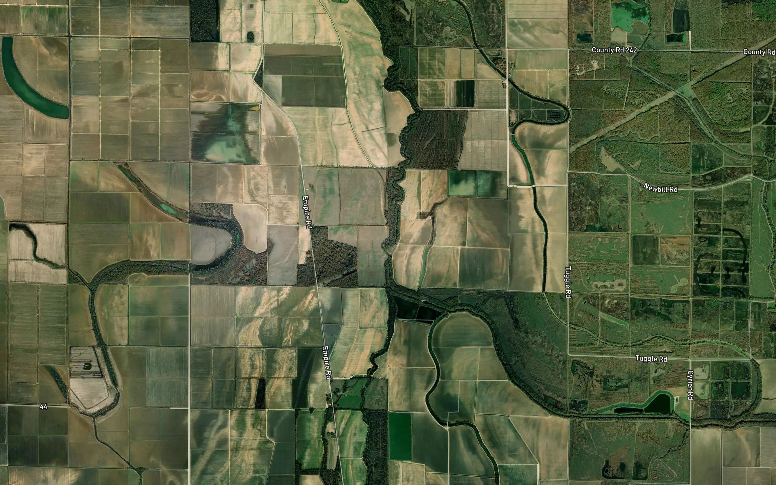 Dry Bayou