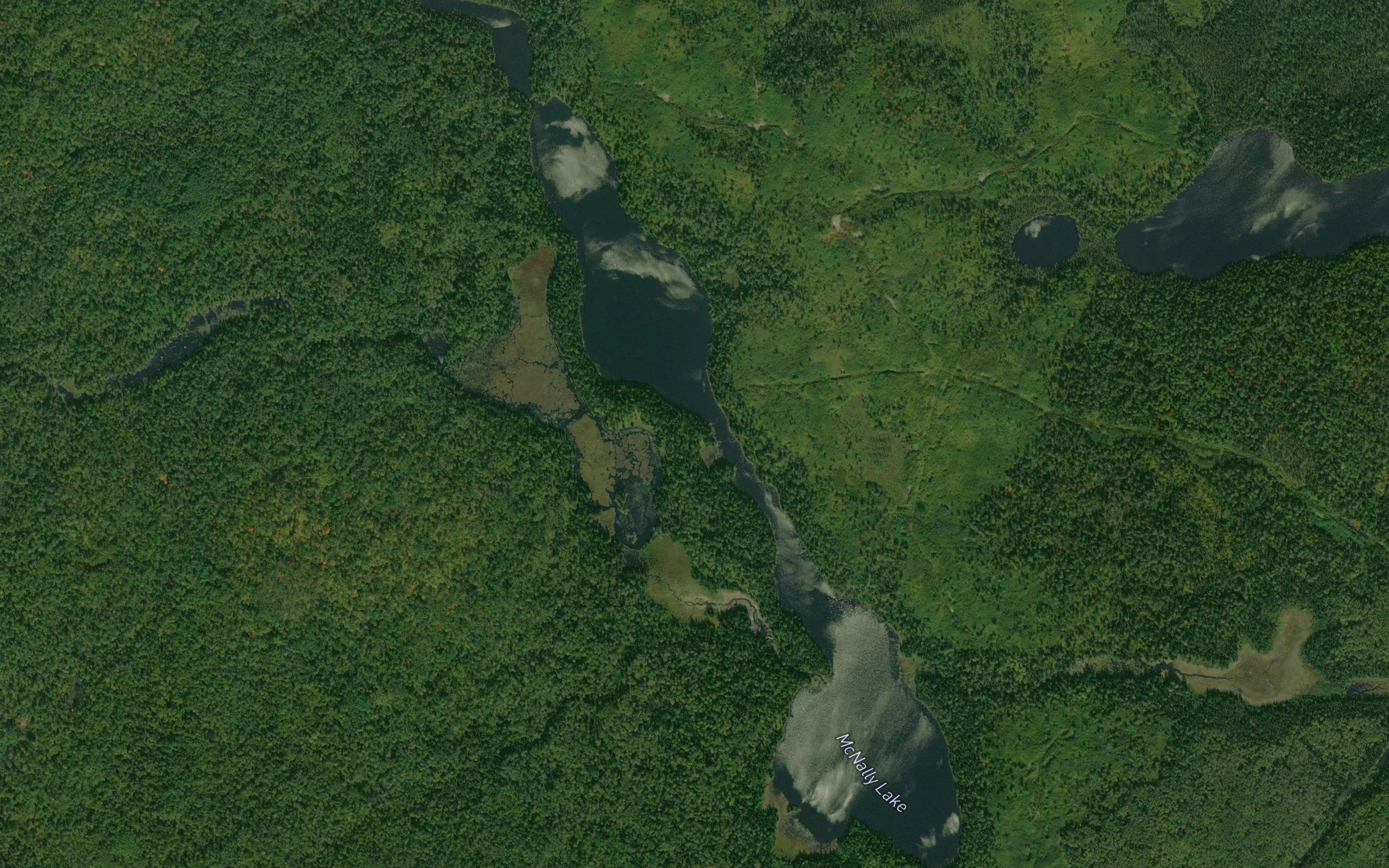 McNally Lake