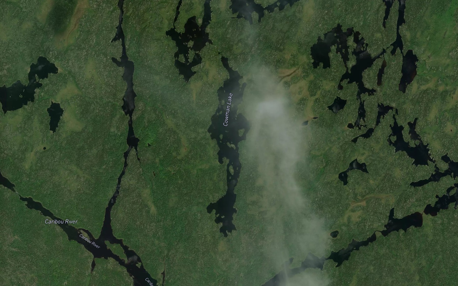 Satellite map of the Cowman Lake