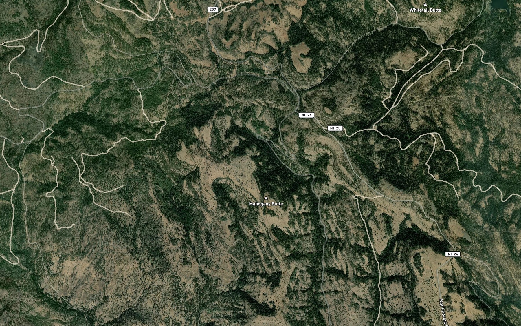 Satellite map of the Walker Spring