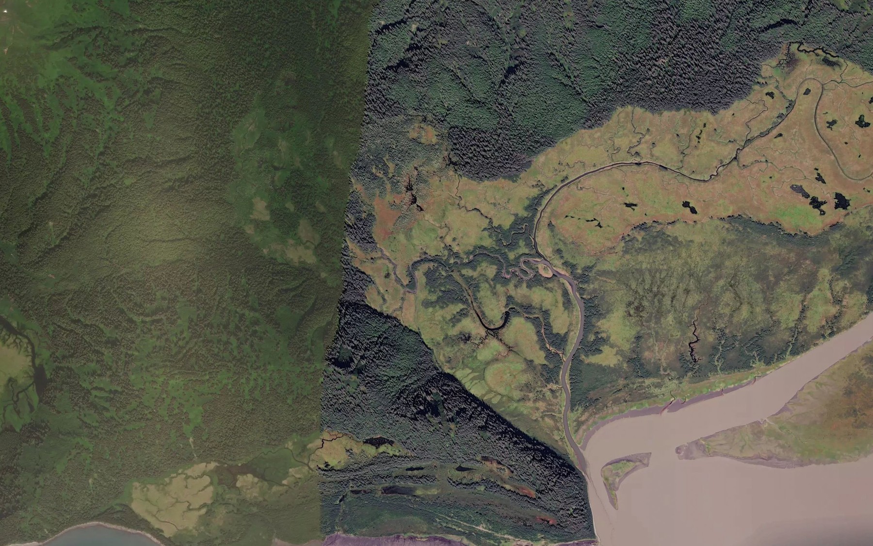 Satellite map of the Redwood Creek