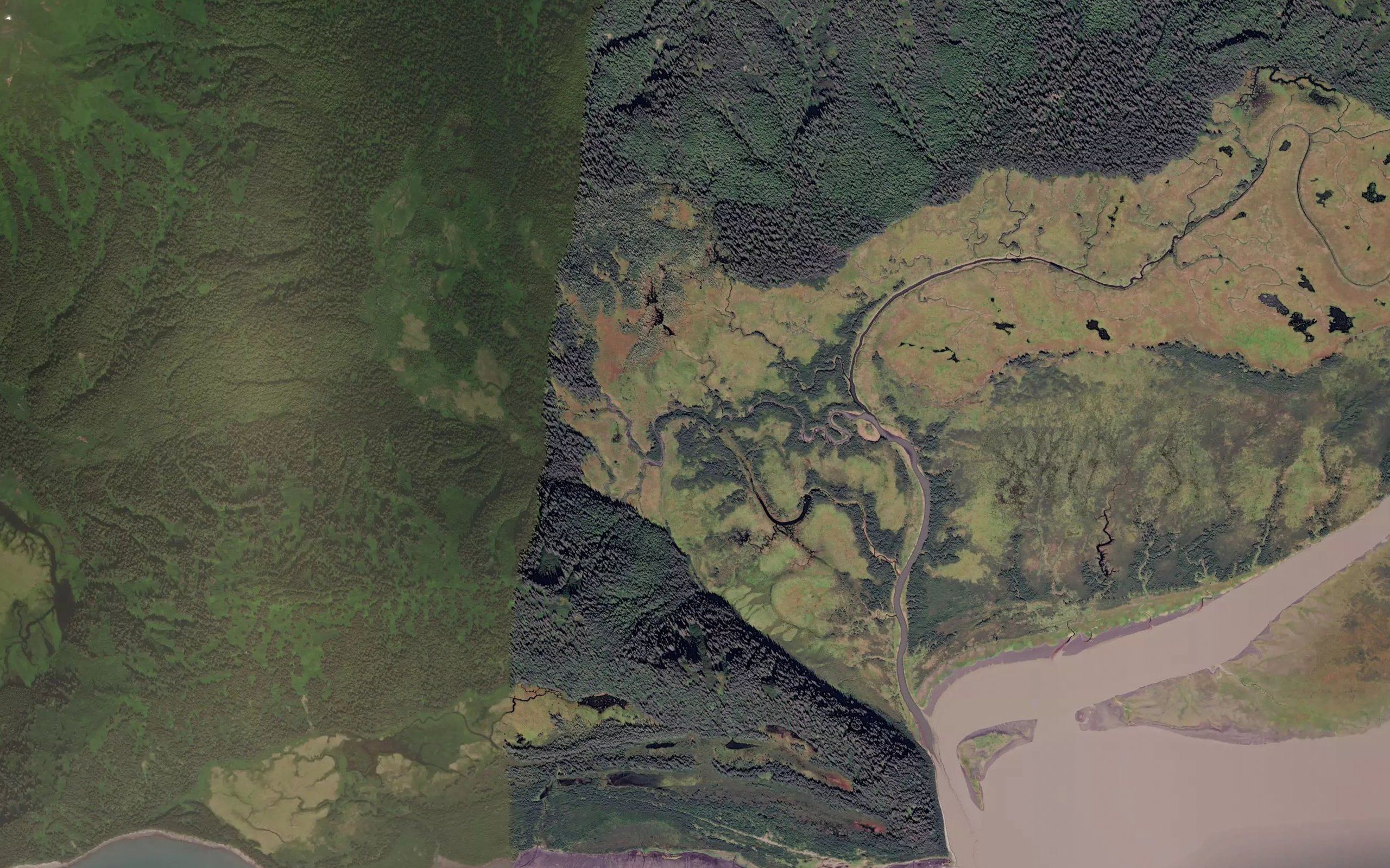 Redwood Creek