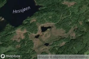 Kvittemstjonna