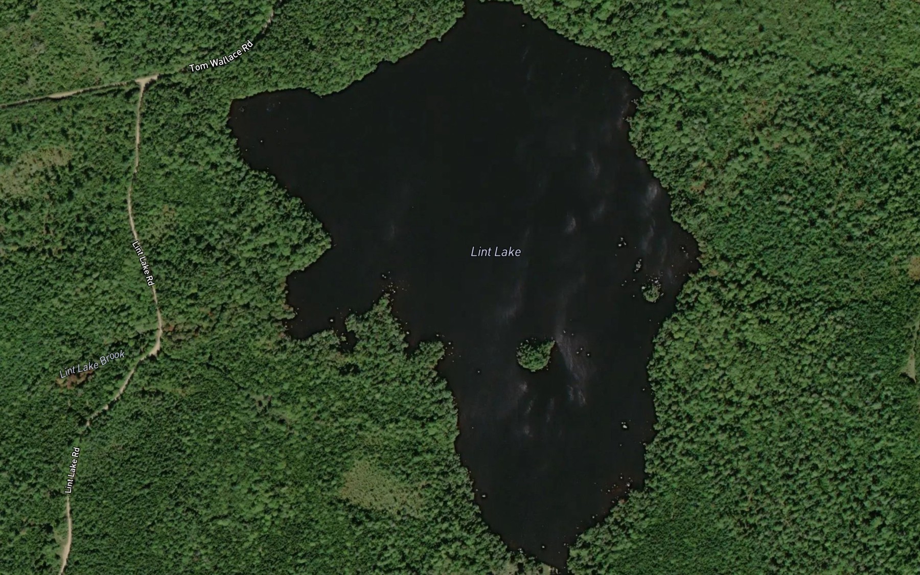Satellite map of the Lint Lake