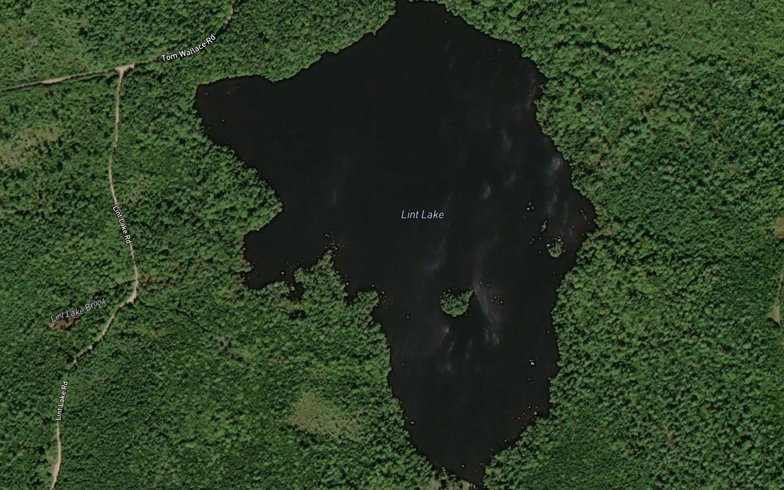Lint Lake