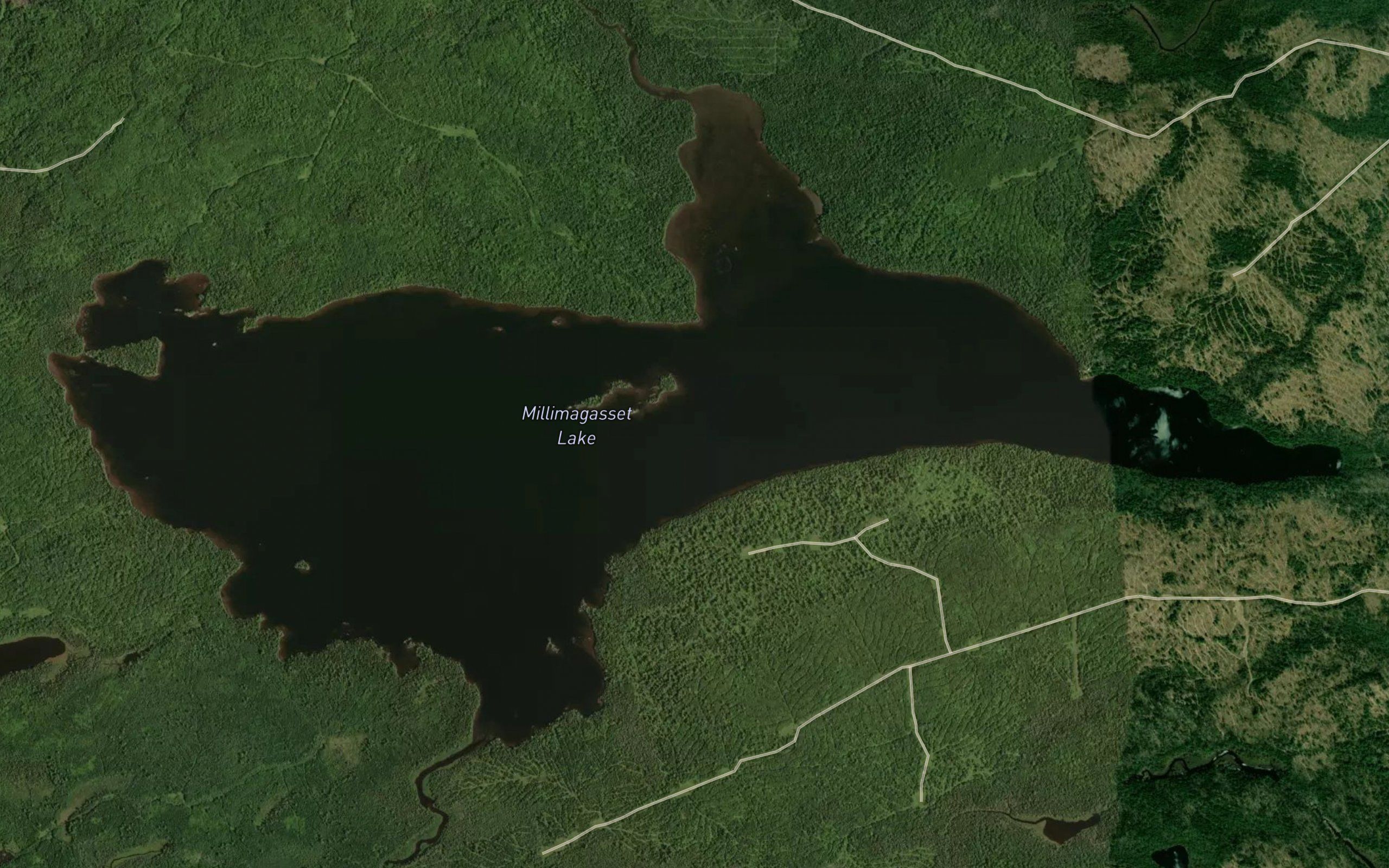 Millimagassett Lake