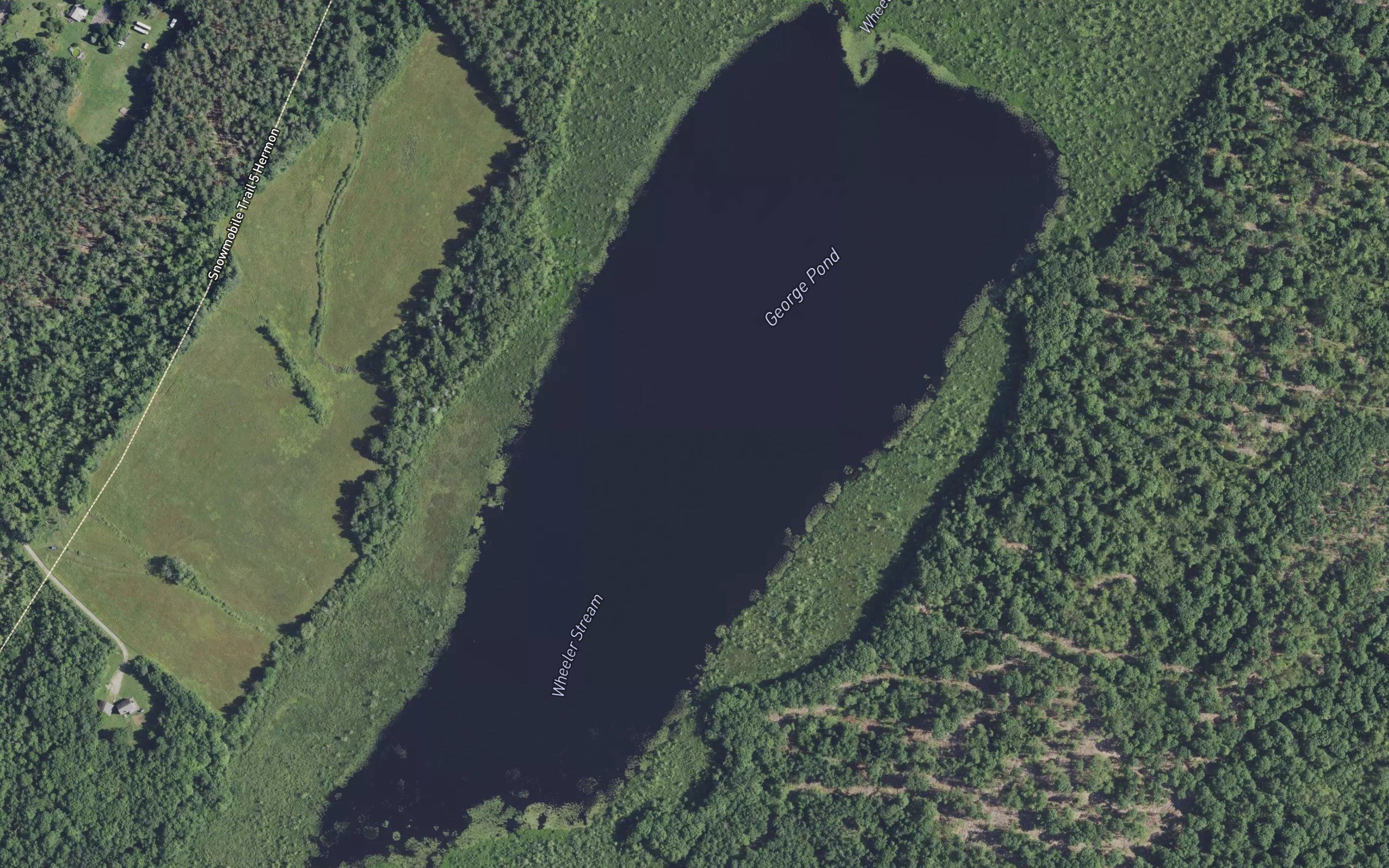 George Pond