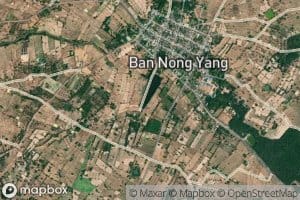 Nong Non Yang