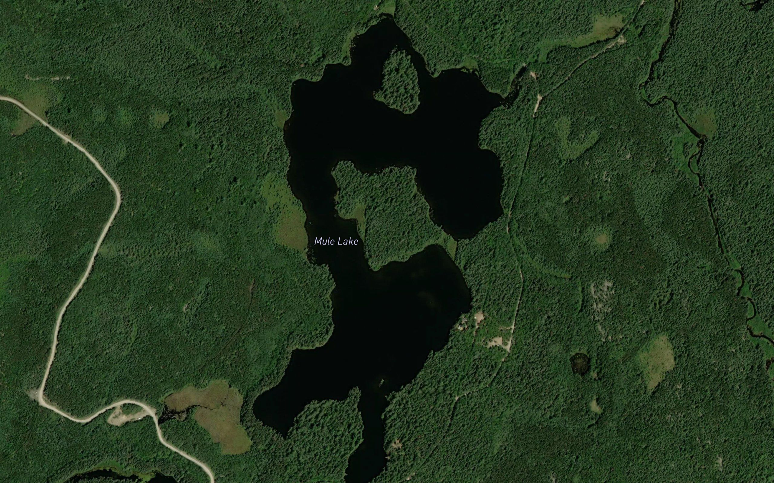 Mule Lake