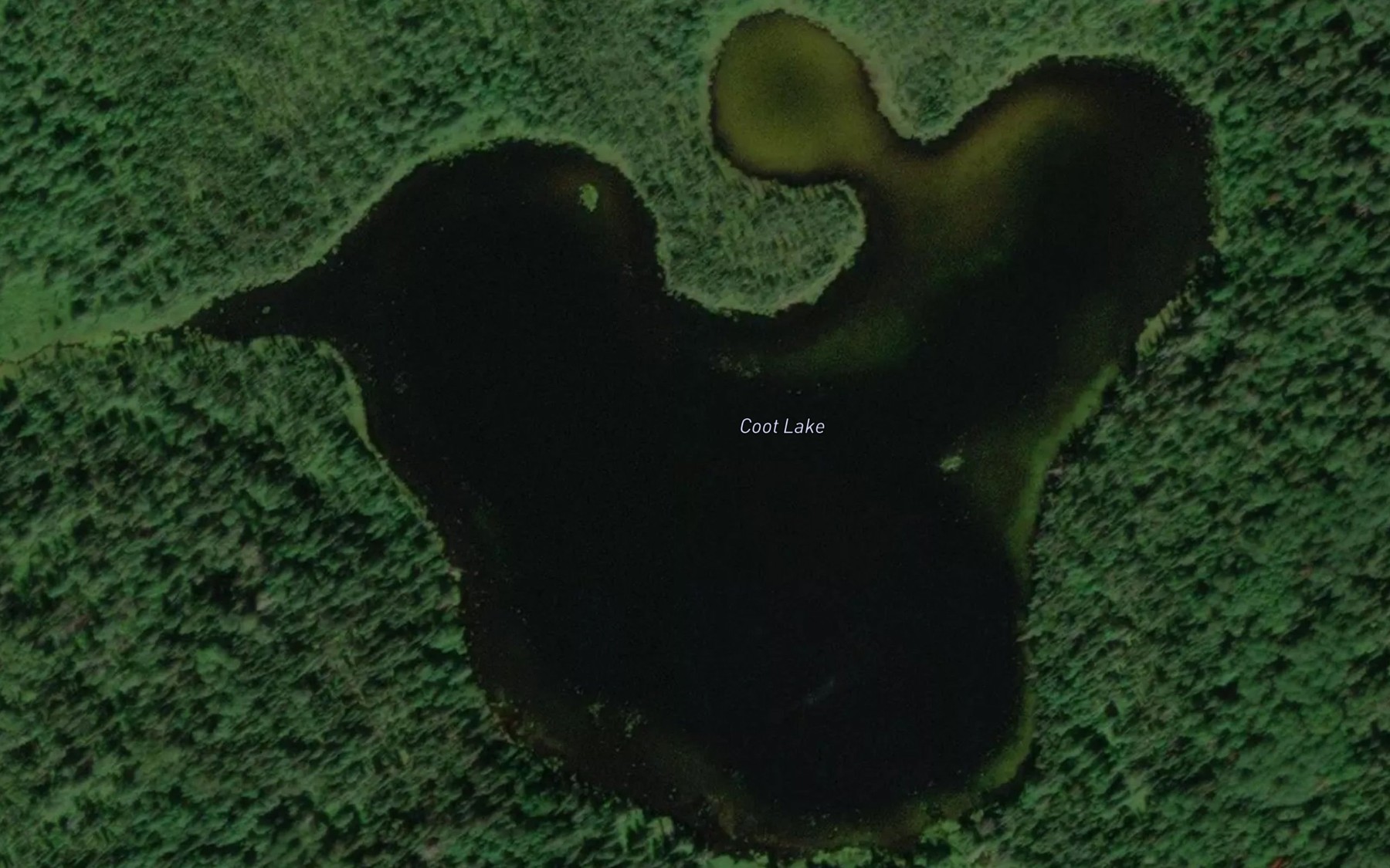Satellite map of the Coot Lake