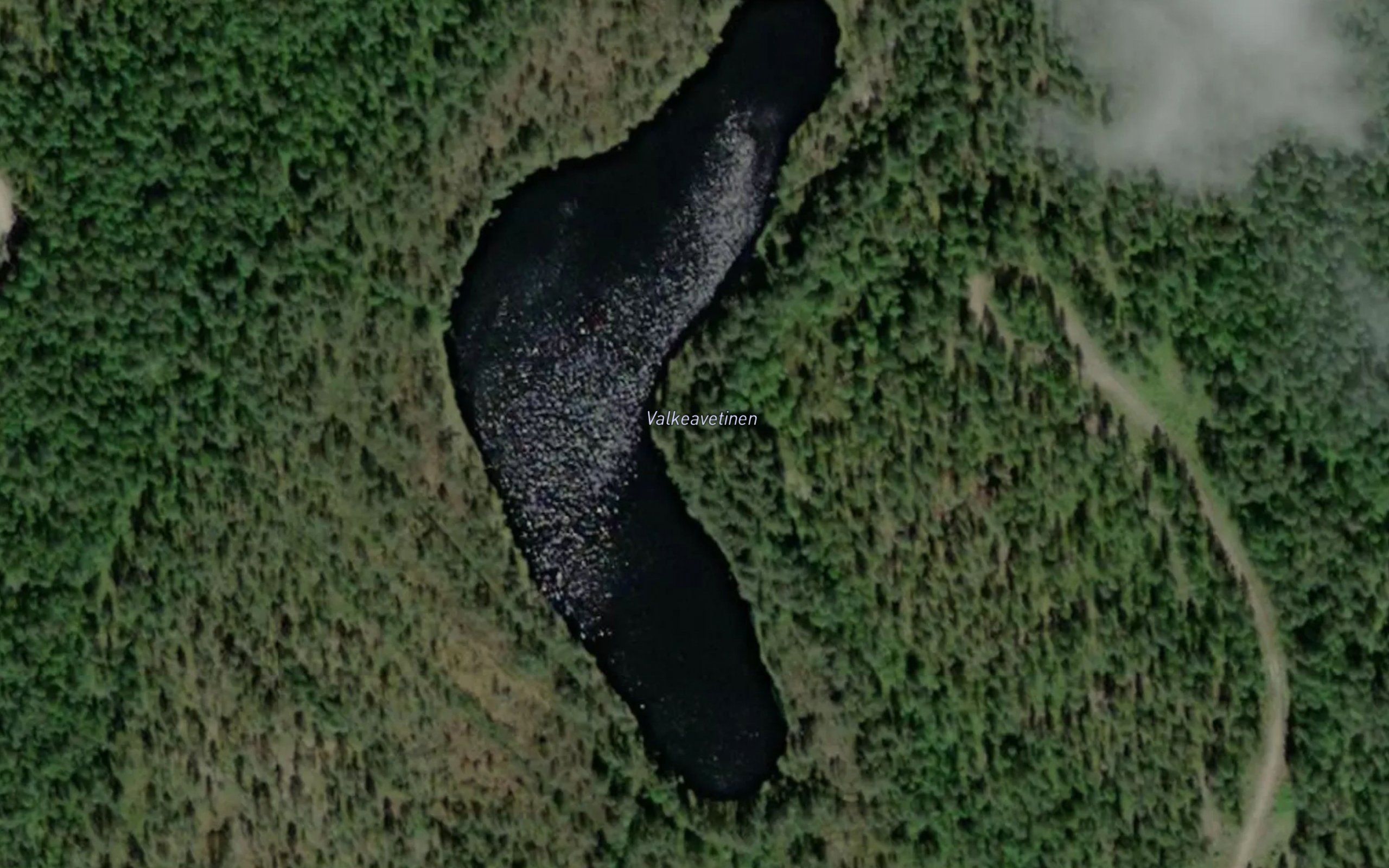 Valkeavetinen