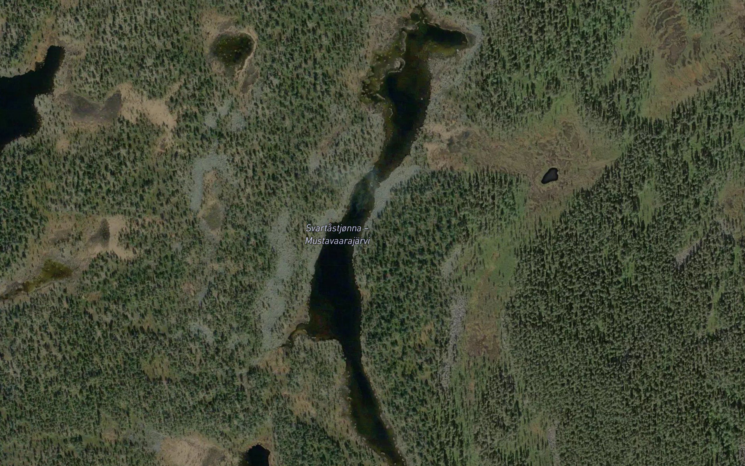 Svartastjonna
