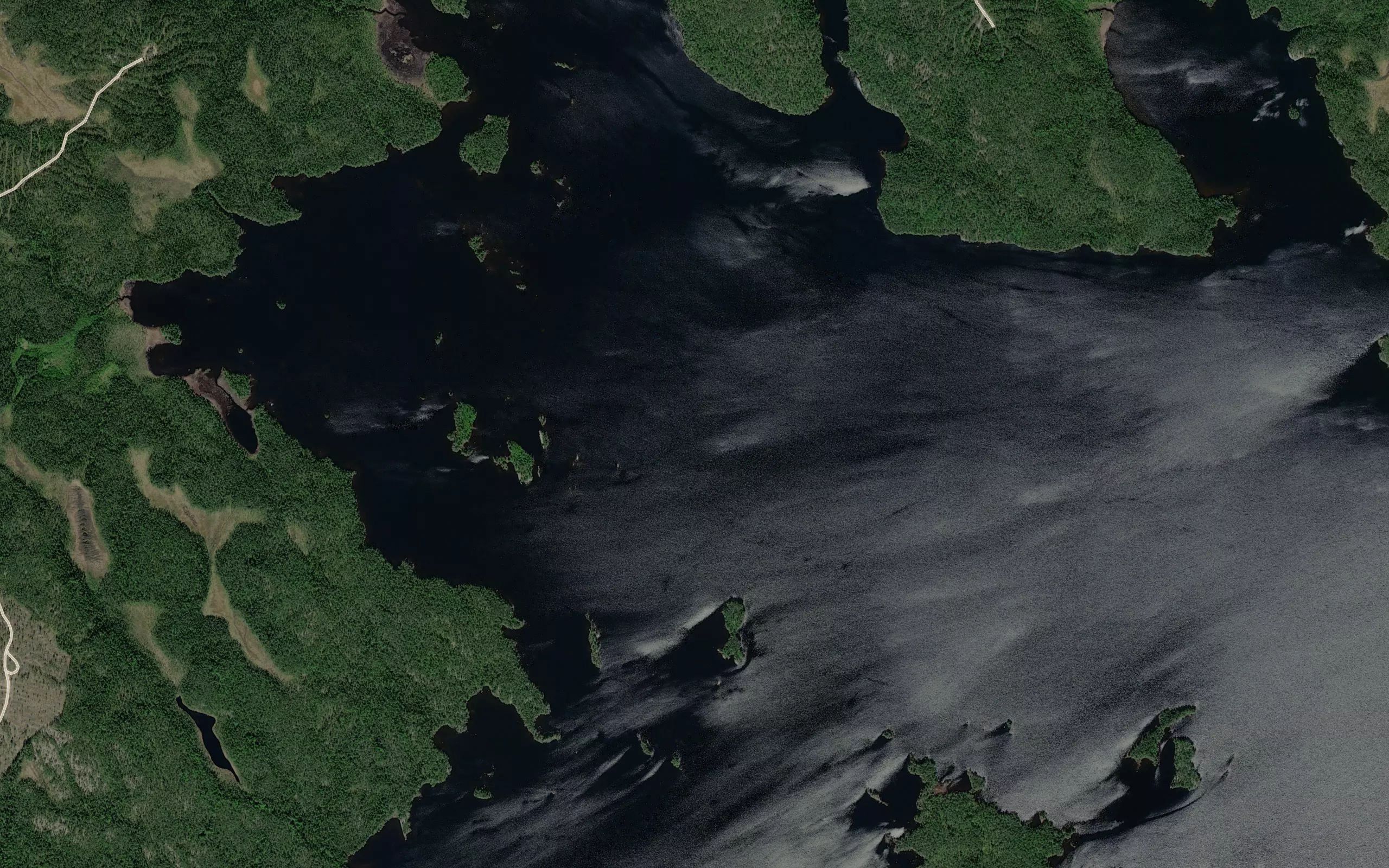 Virvilahti