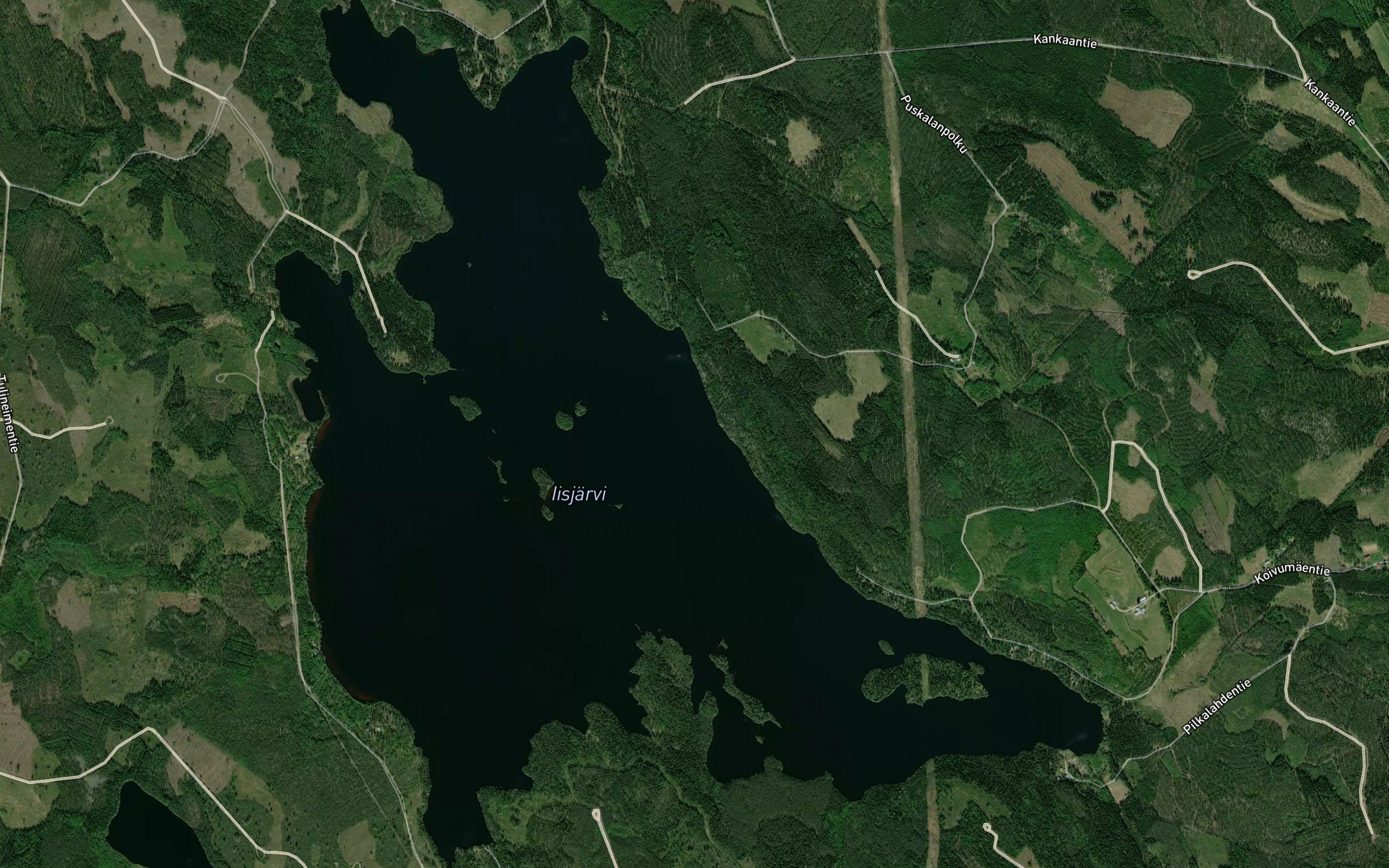 Iisjarvi