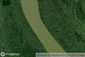 Blind Tensas Cut