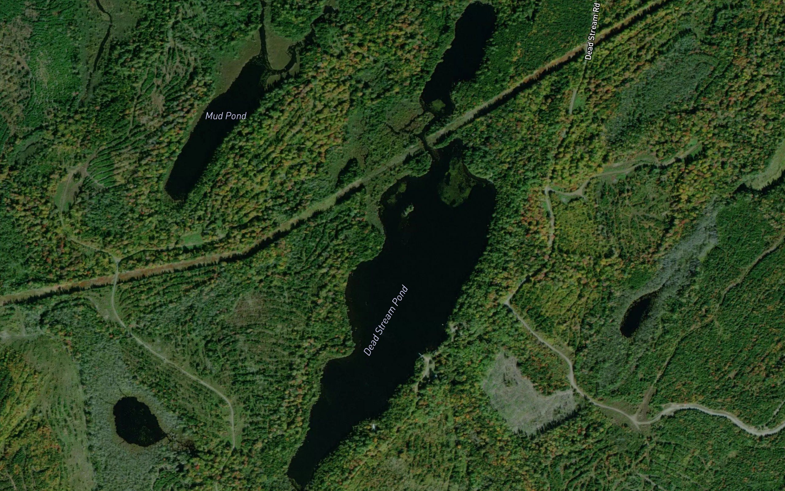 Dead Stream Pond