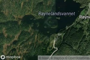 Roynelandsvannet