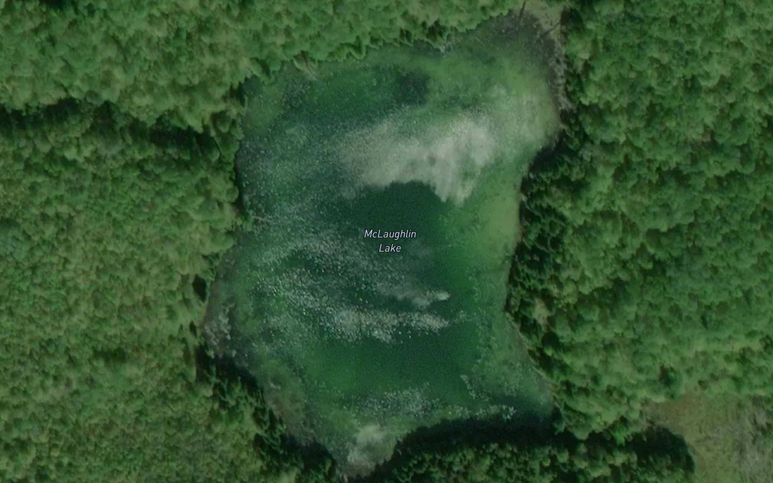 McLaughlin Lake