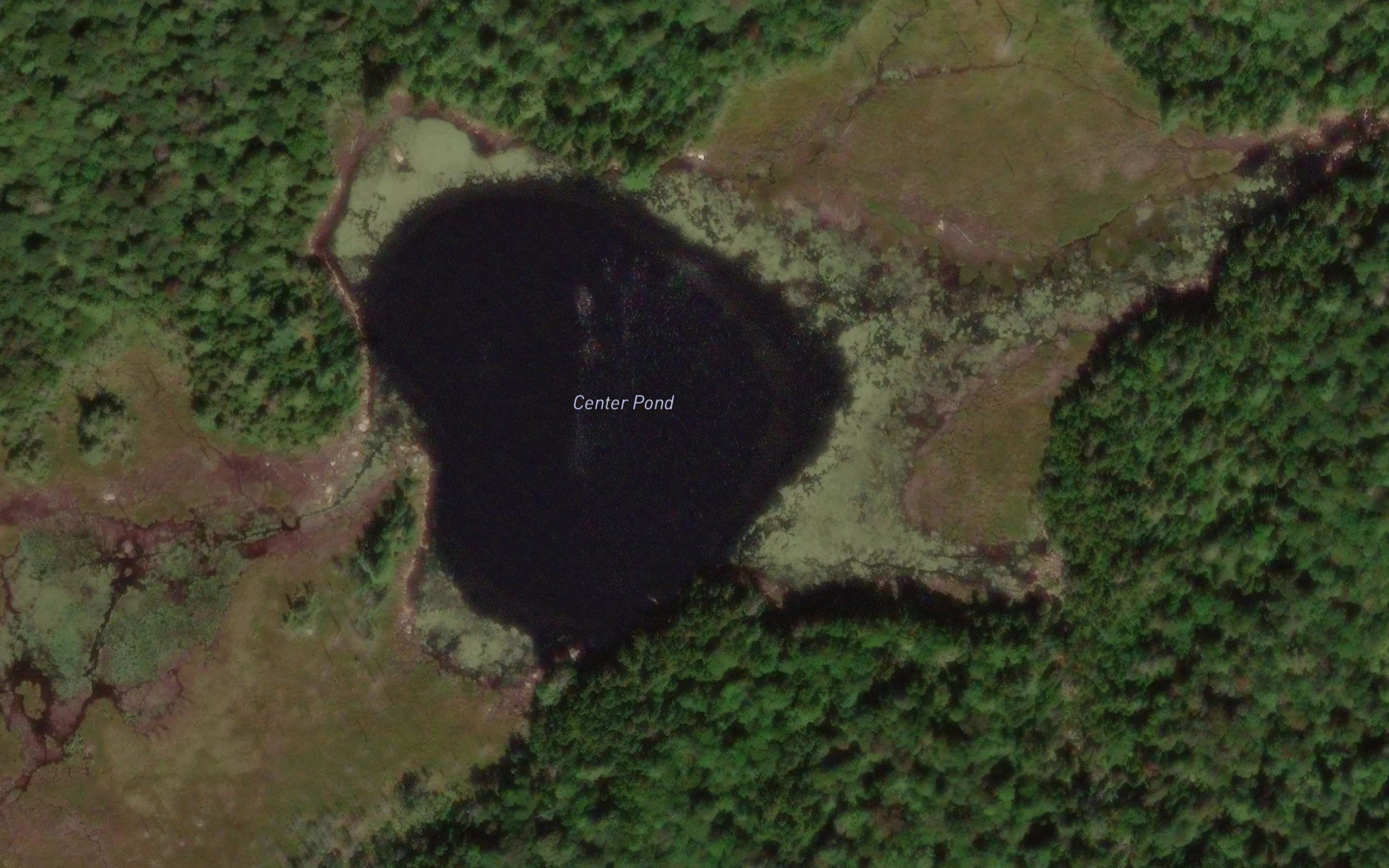 Center Pond