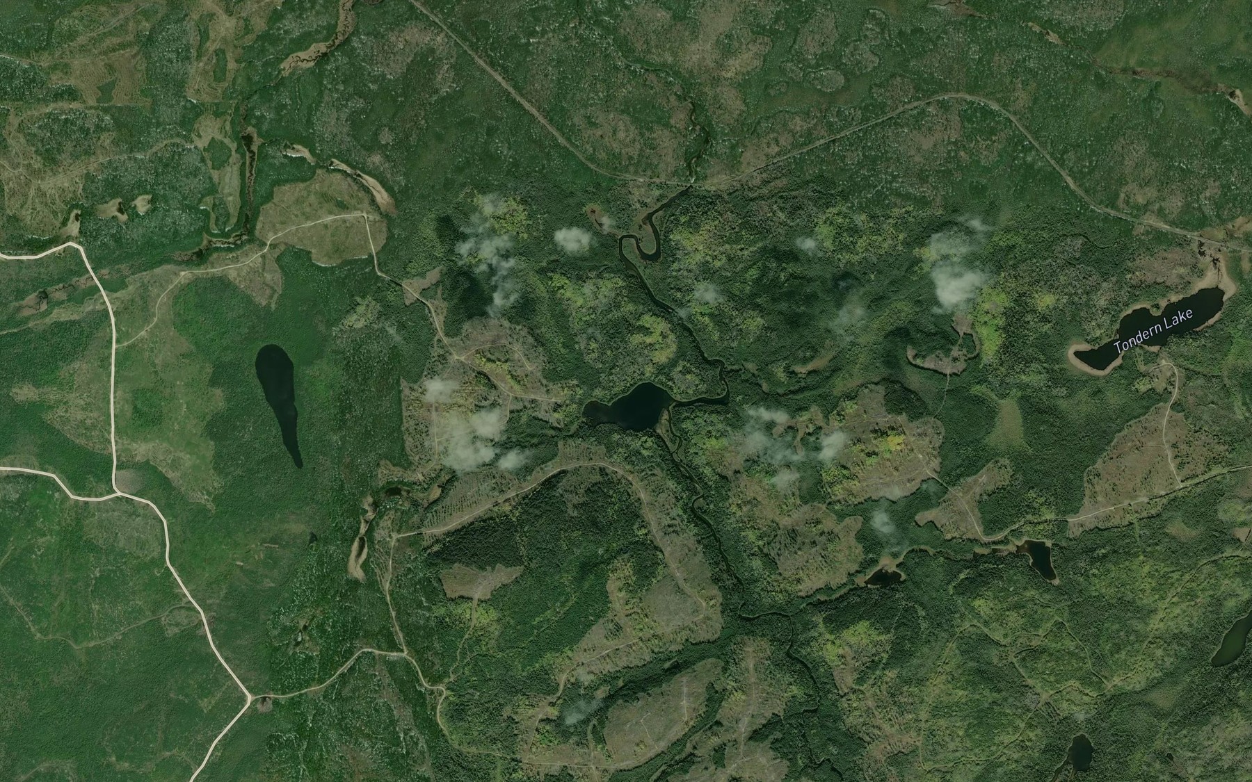 Satellite map of the Redfin Lake
