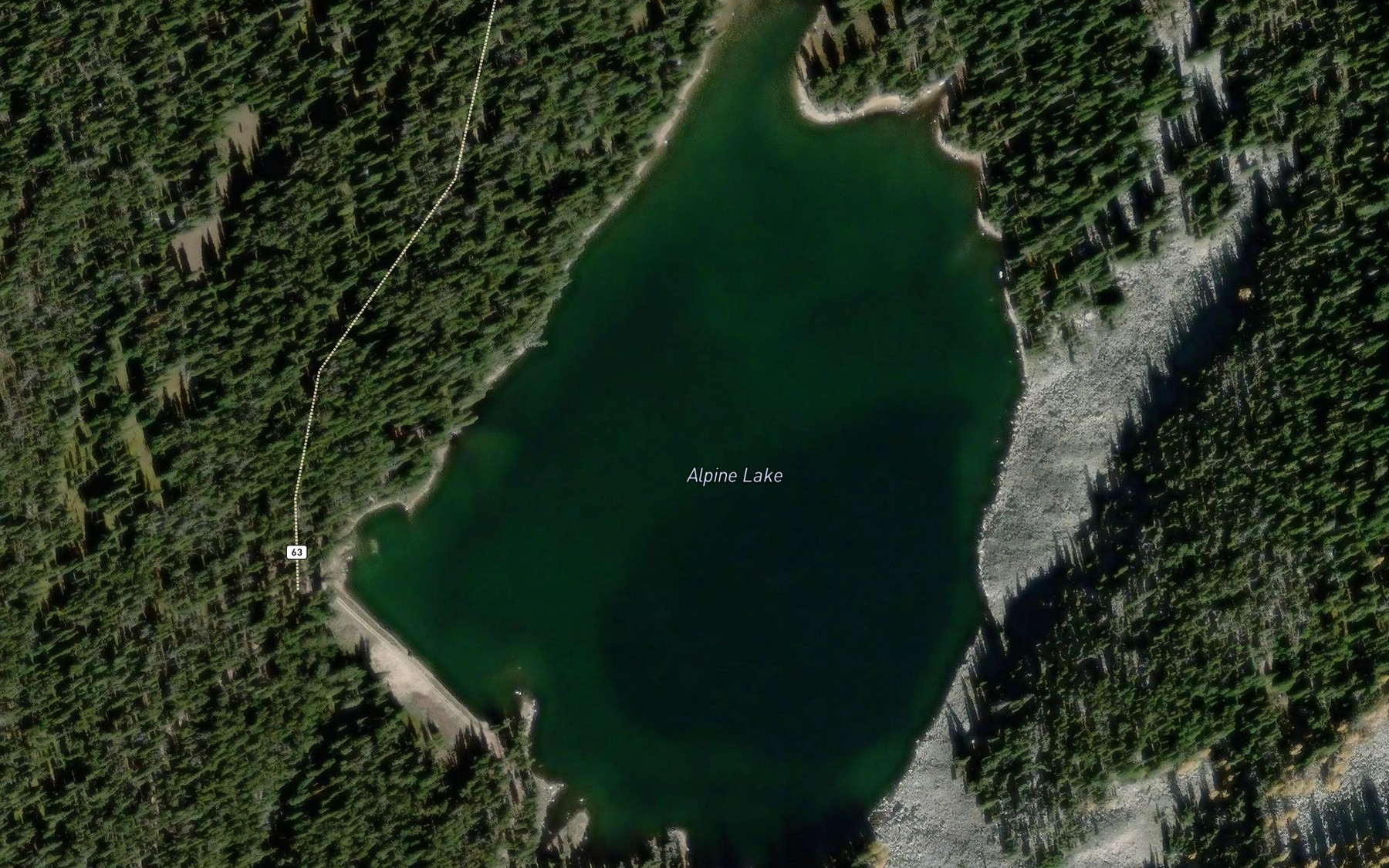 Satellite map of the Alpine Lake