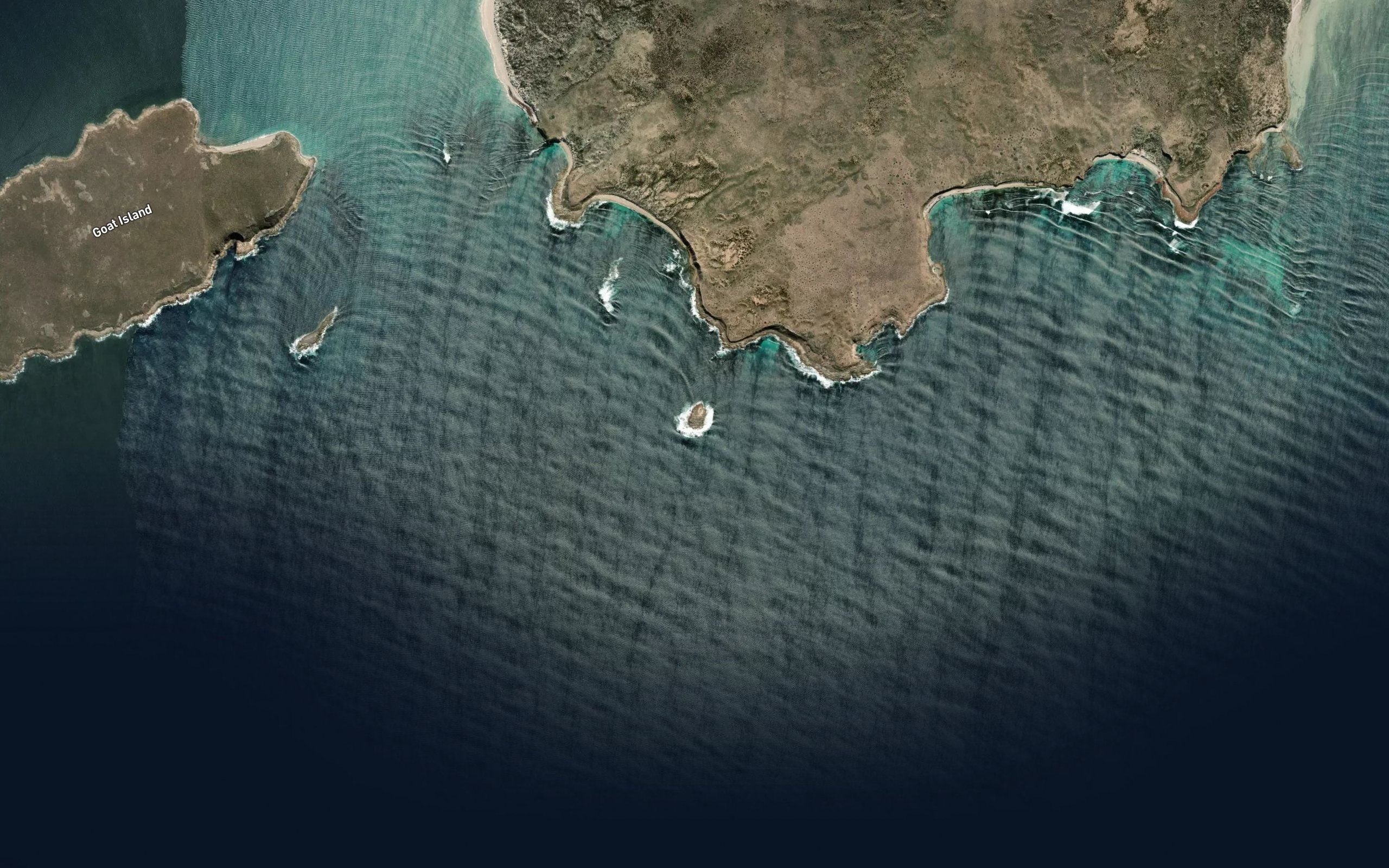 Gliddon Reef