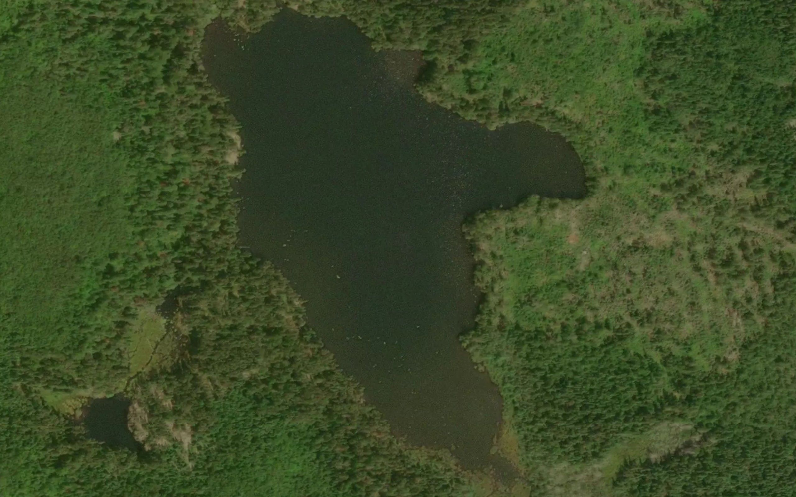 McIntosh Lake