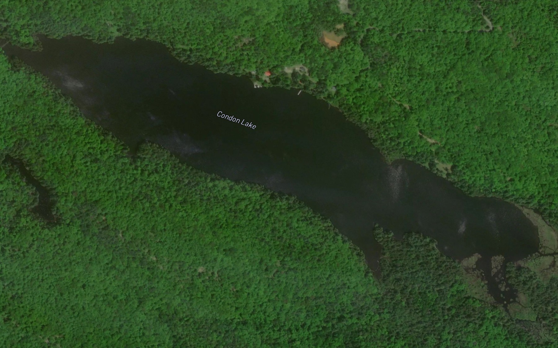 Satellite map of the Condon Lake