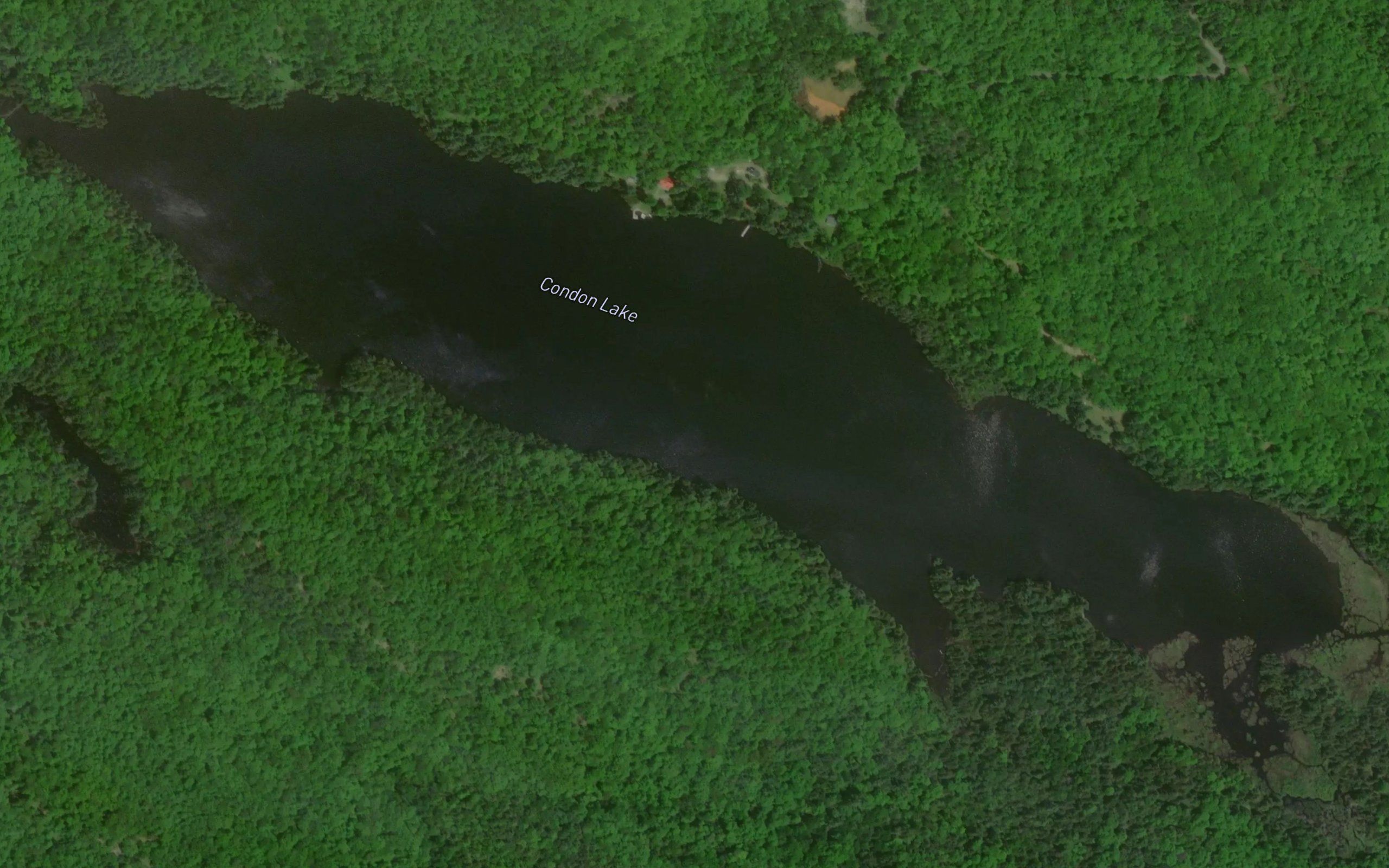 Condon Lake