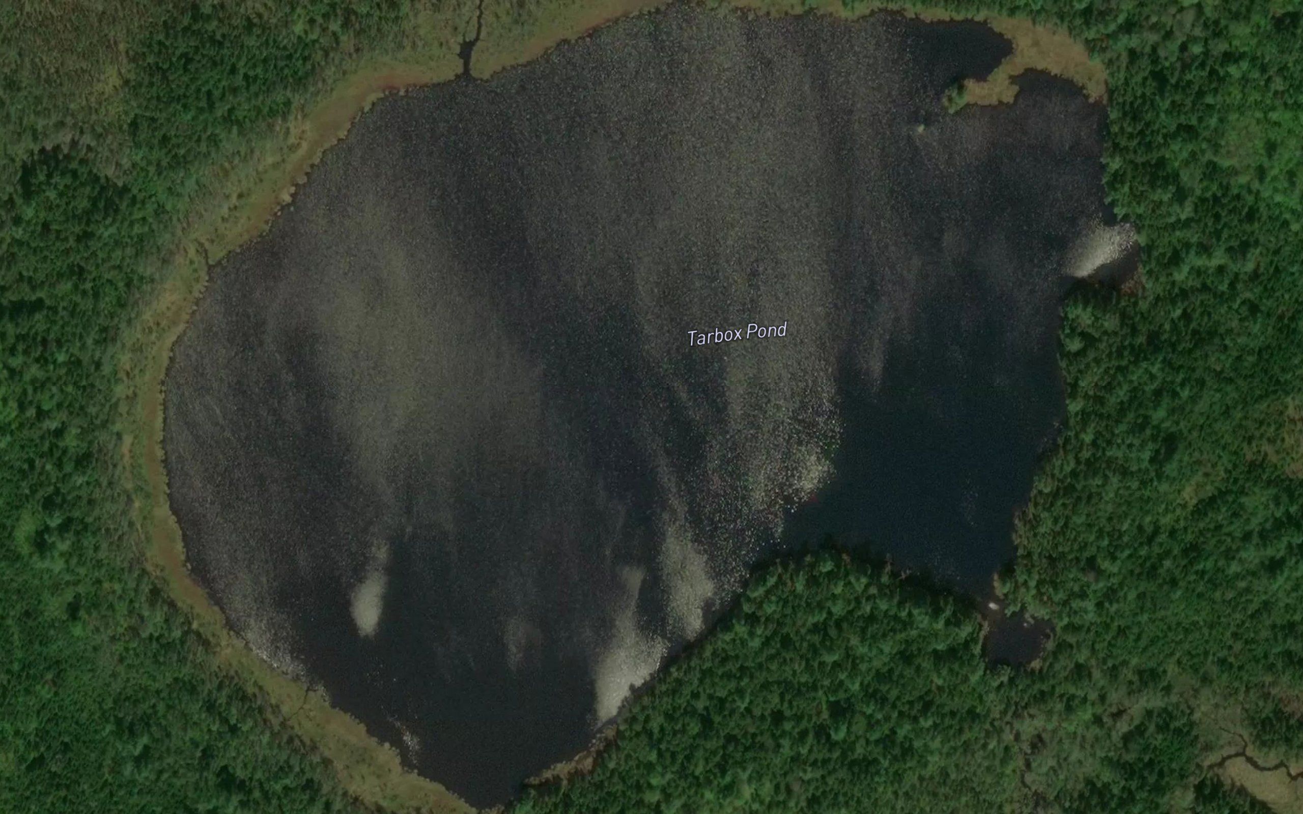 Tarbox Pond