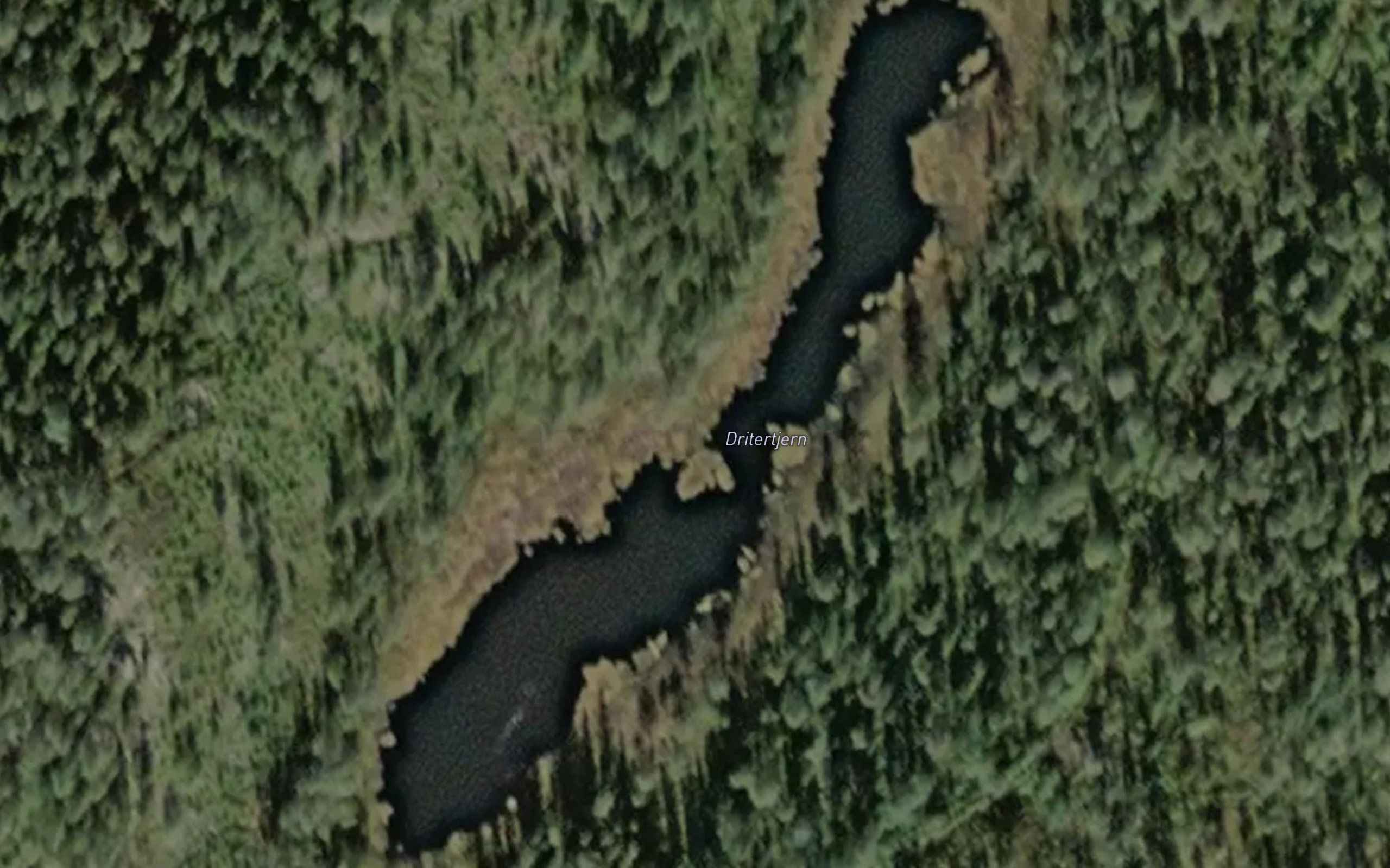 Dritertjern