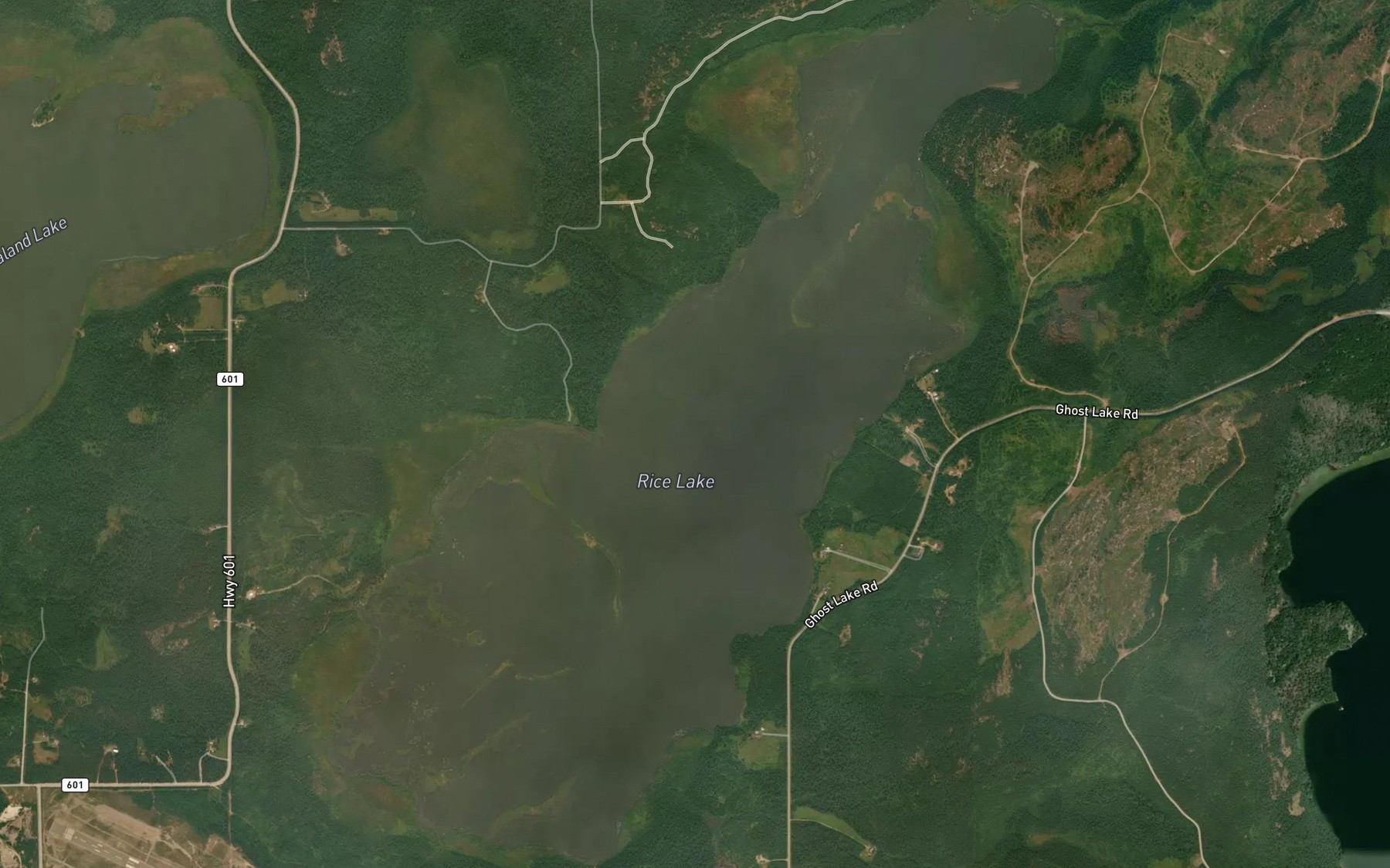 Satellite map of the Rice Lake