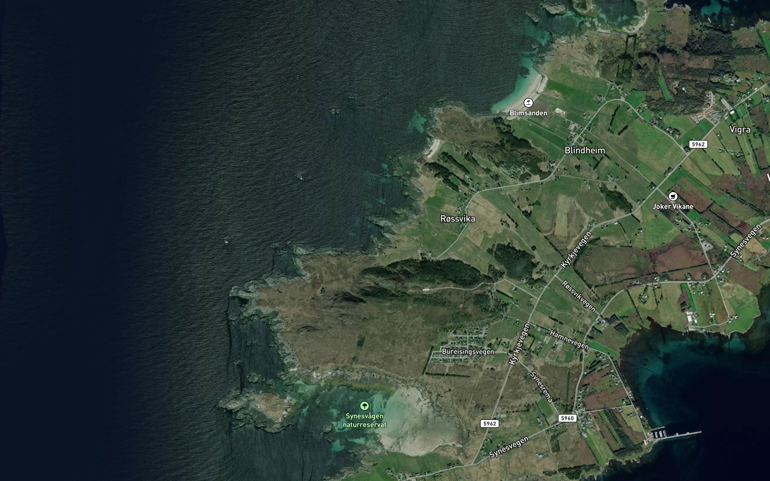 Grisvika