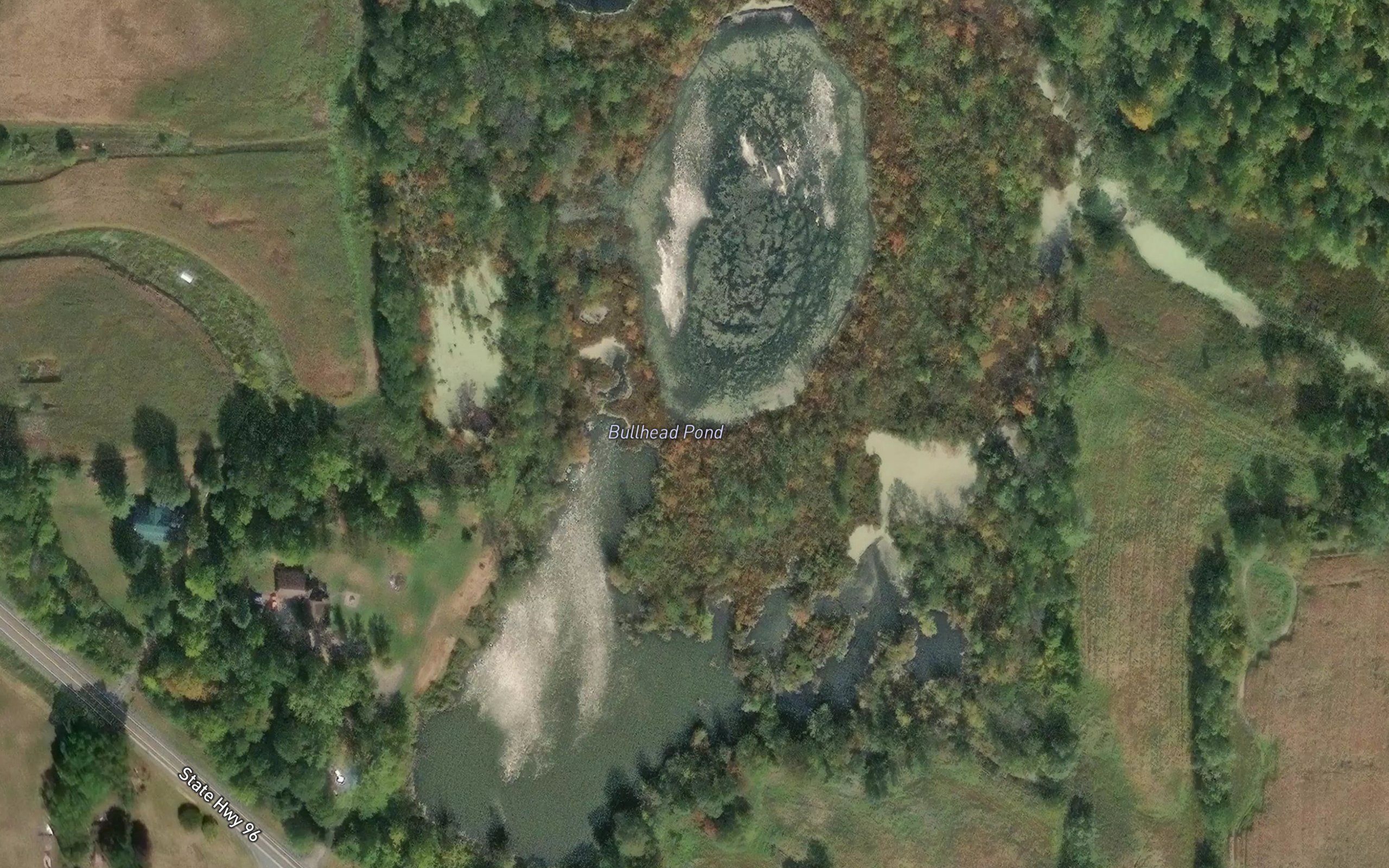 Bullhead Pond