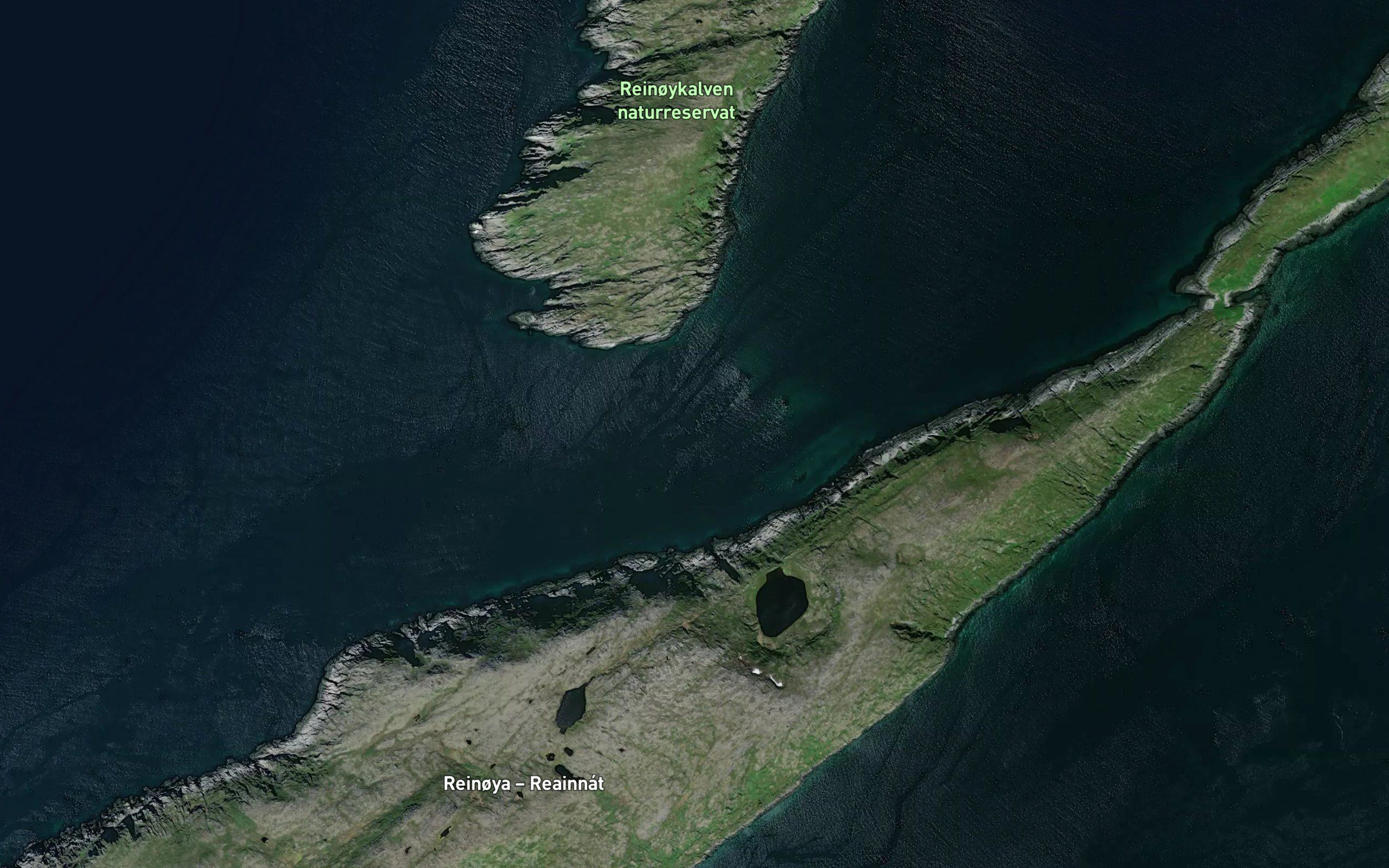 Kalvesundet