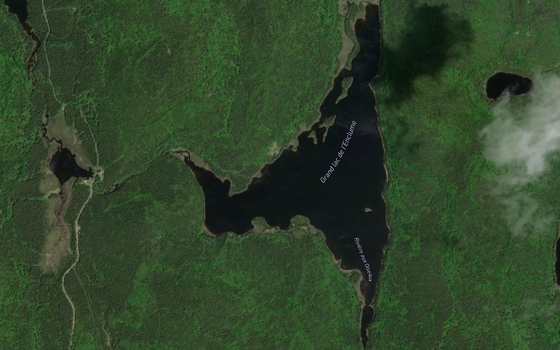 Satellite map of the Grand lac de l'Enclume