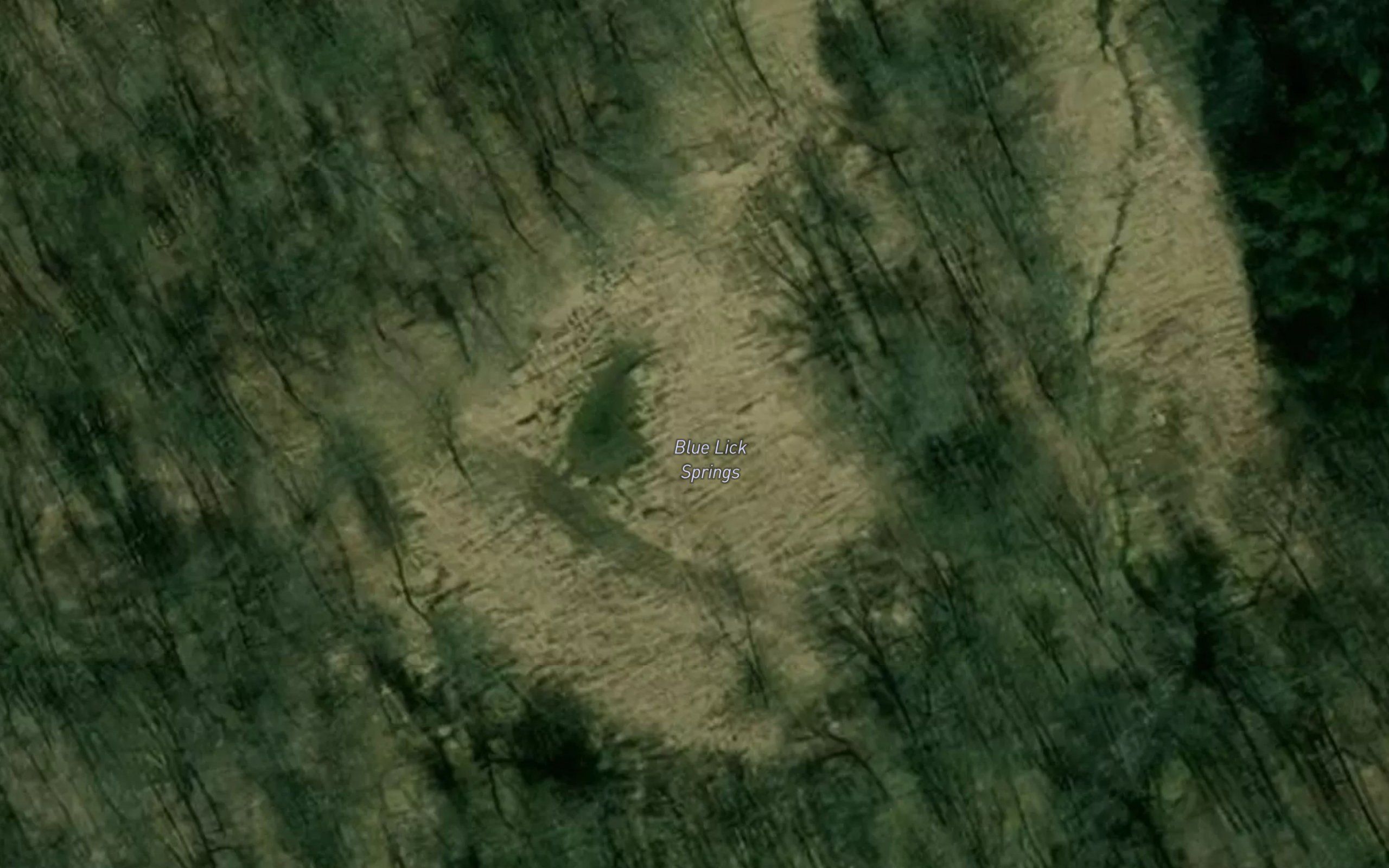 Blue Lick Springs