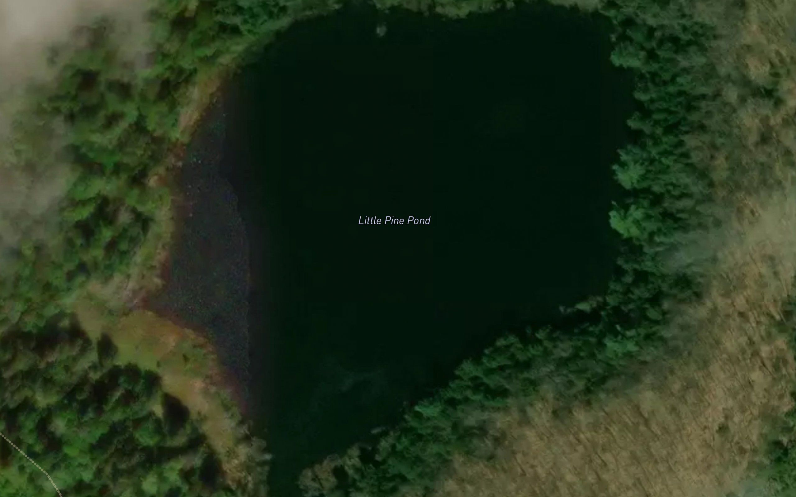 Little Pine Pond