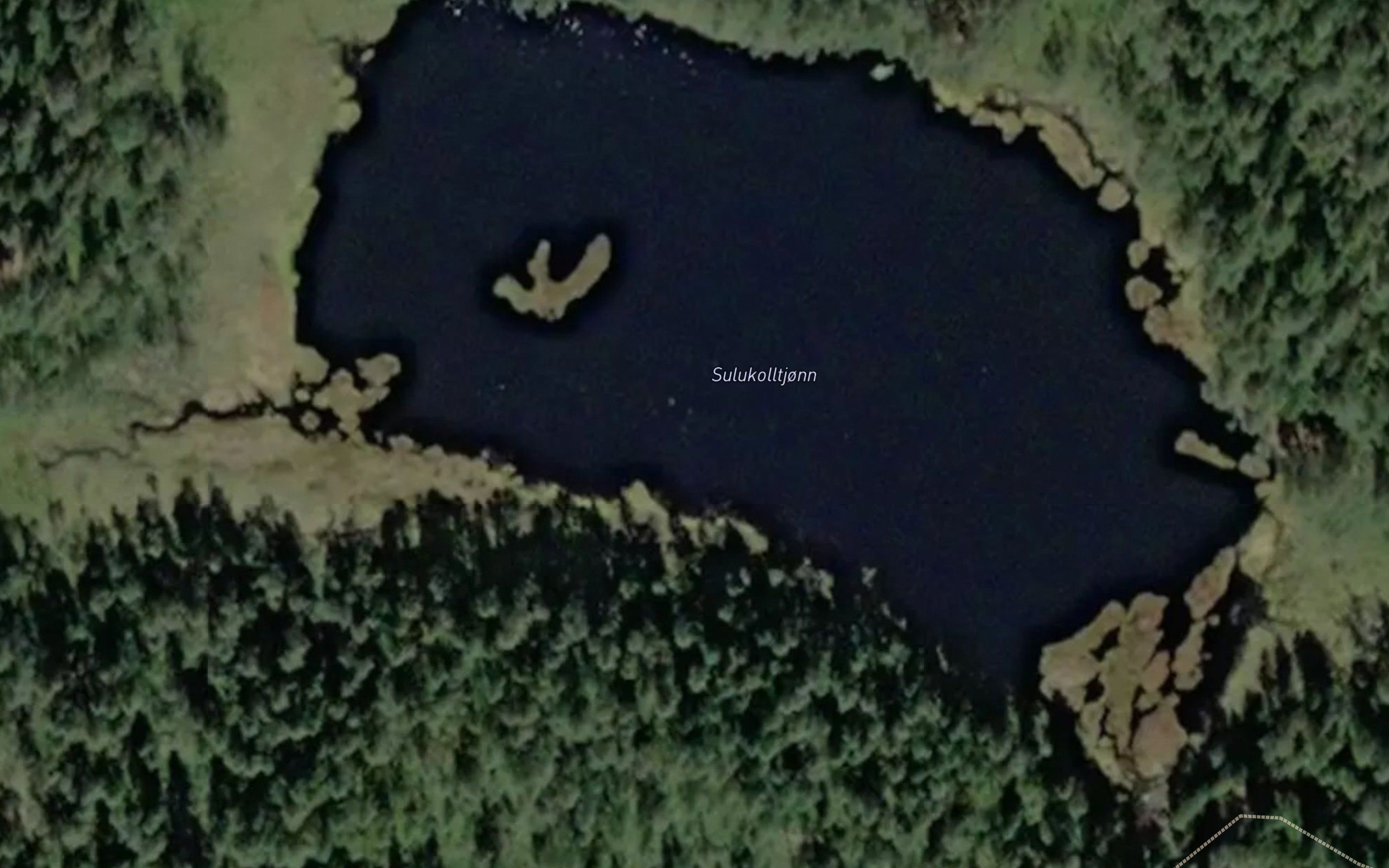 Sulukolltjonn