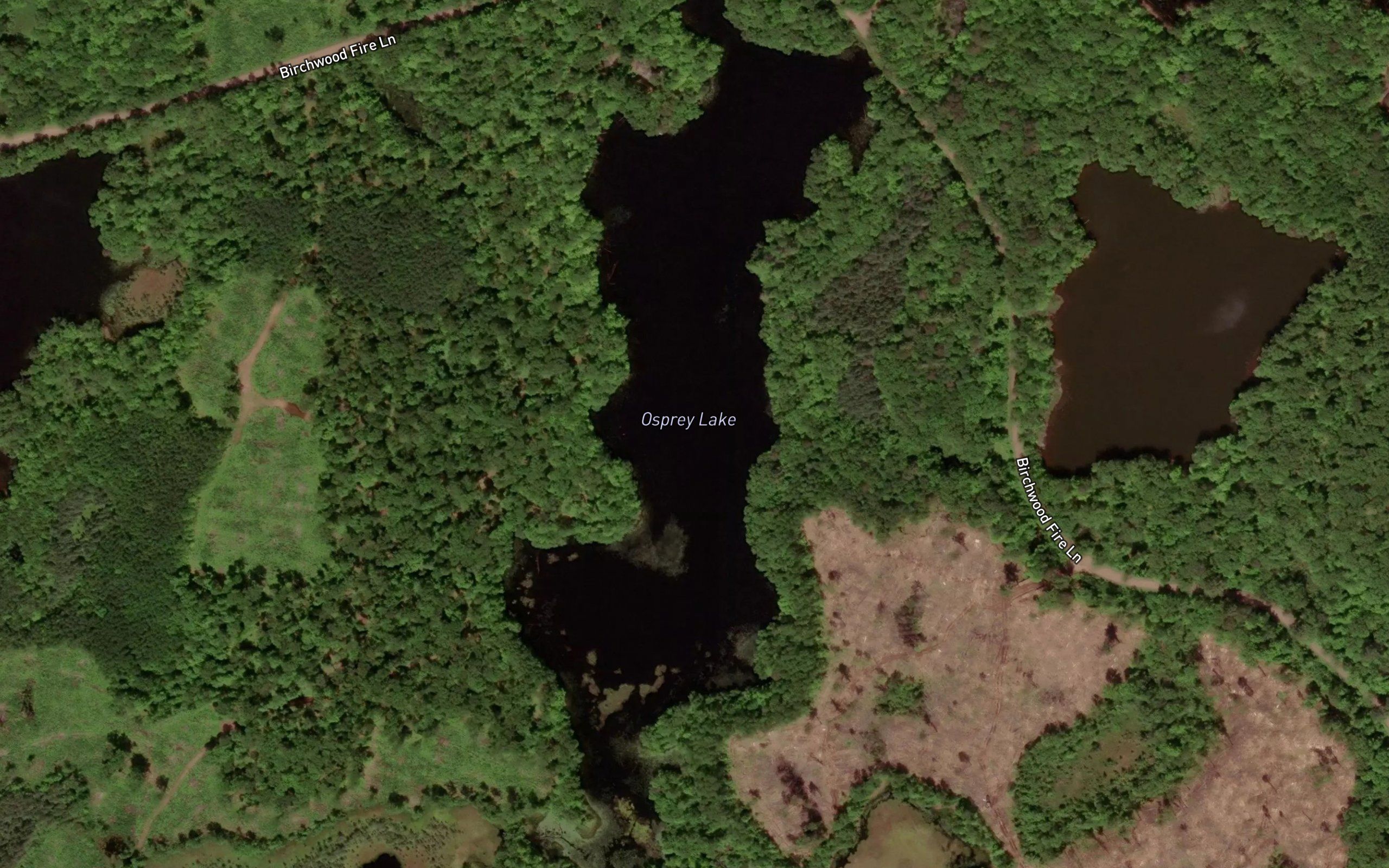 Osprey Lake