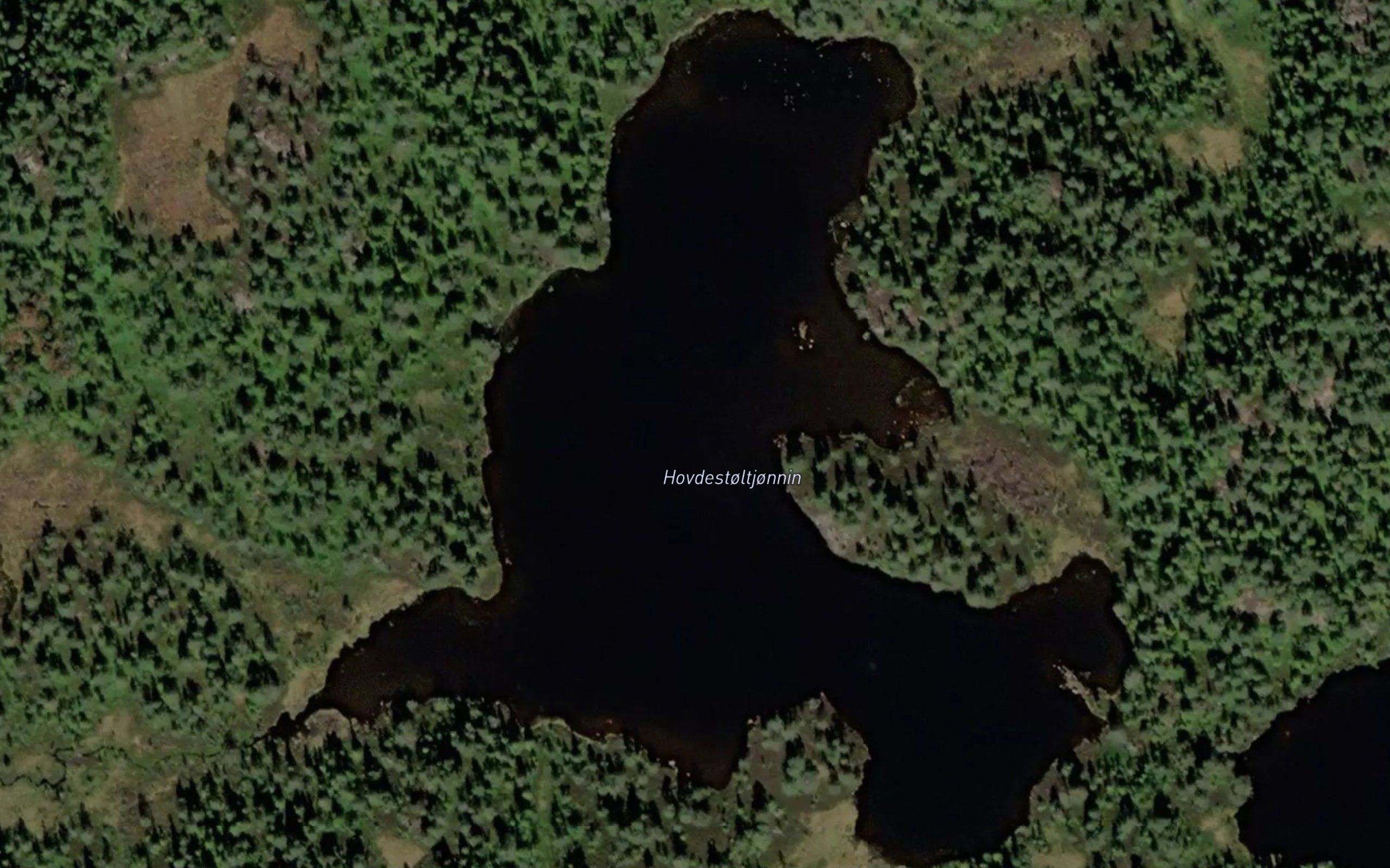 Hovdestoltjornin