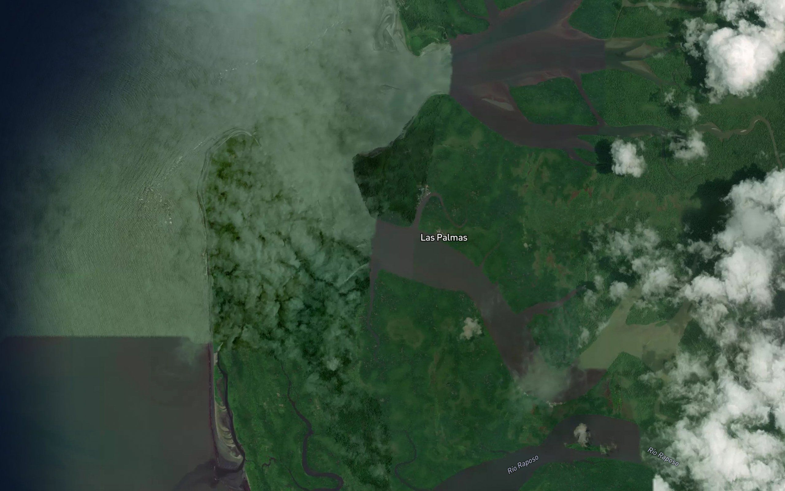 Estero Brazo Largo