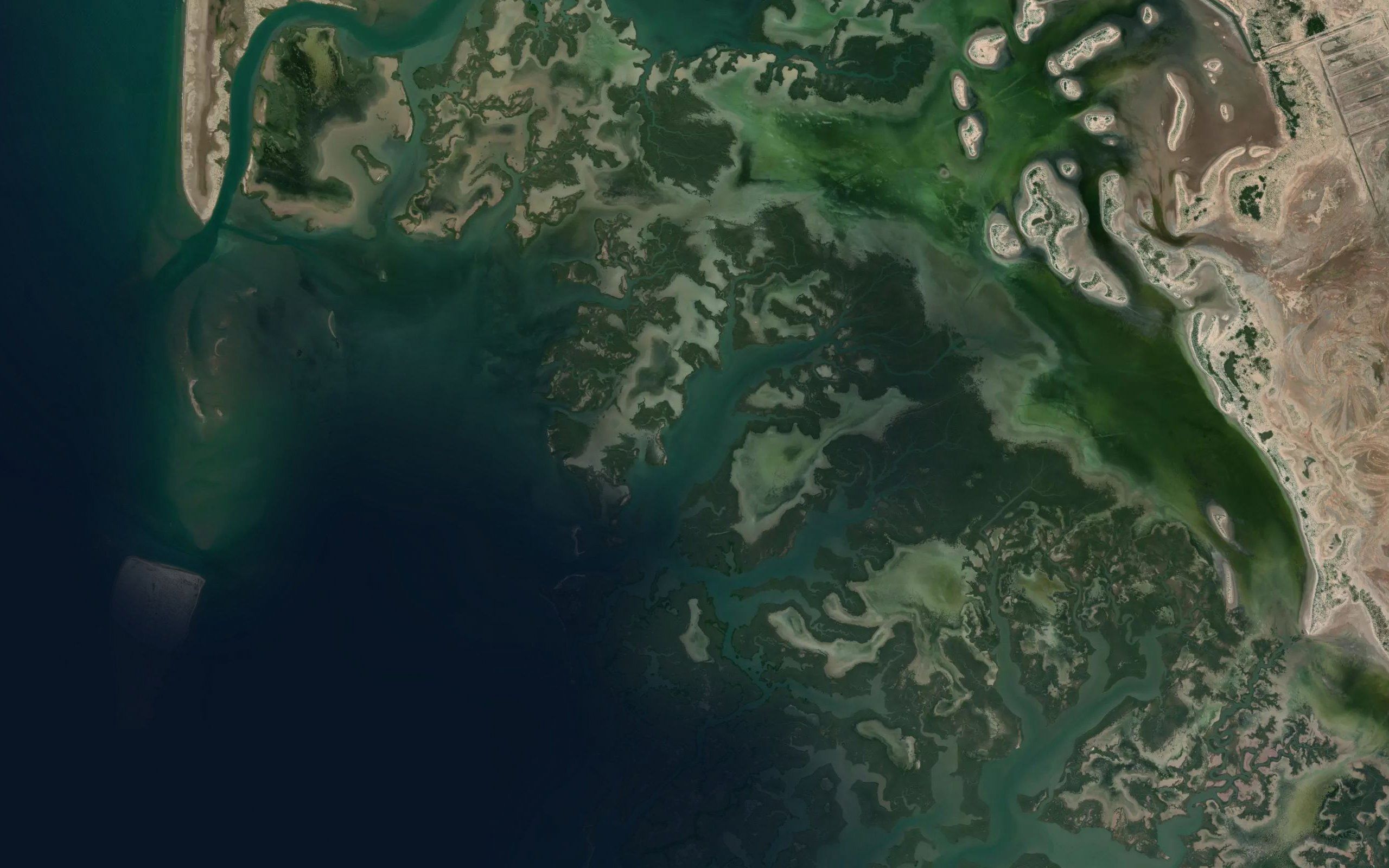 Estero Guaicari