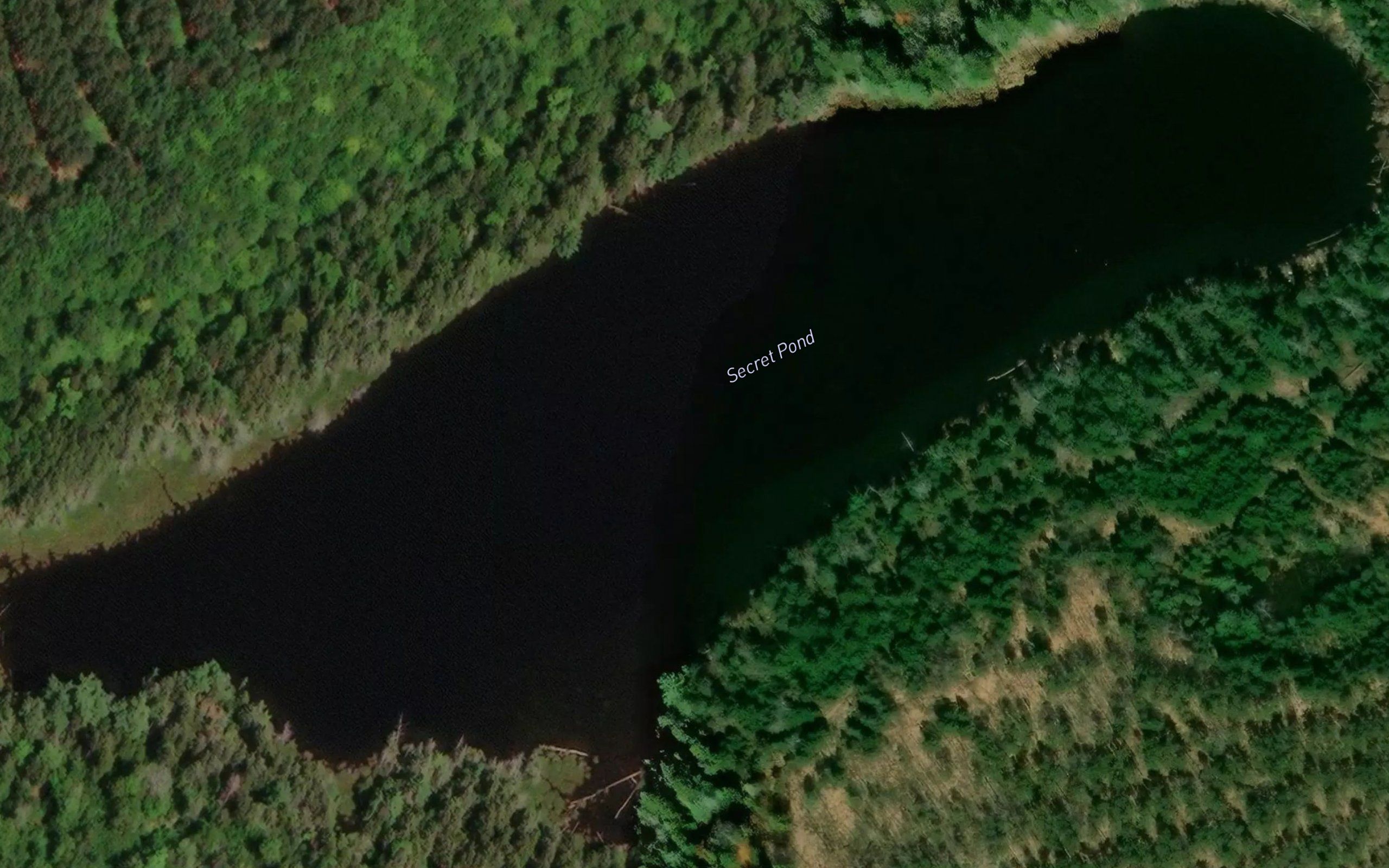 Secret Pond
