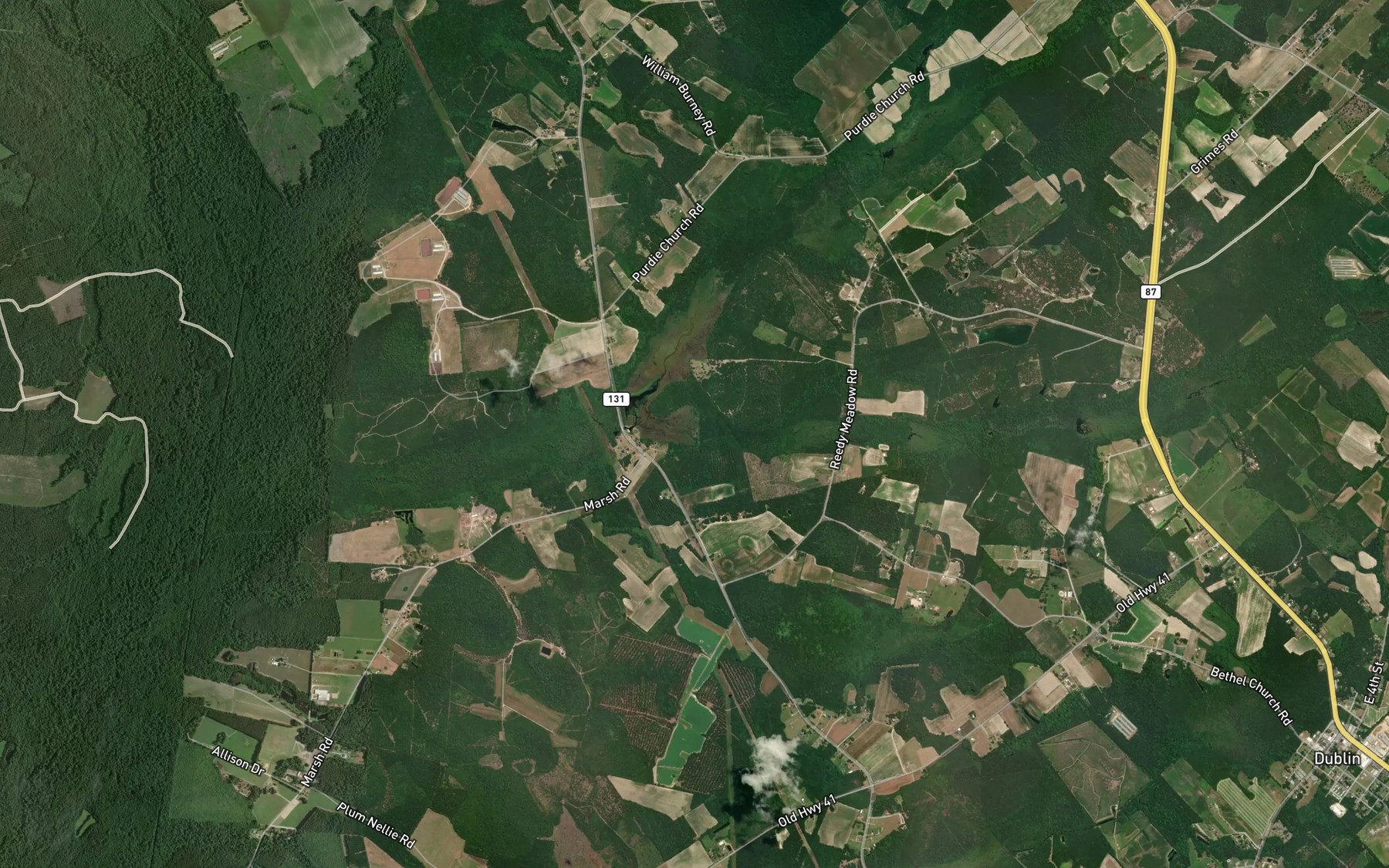 Satellite map of the Reedy Meadow Swamp
