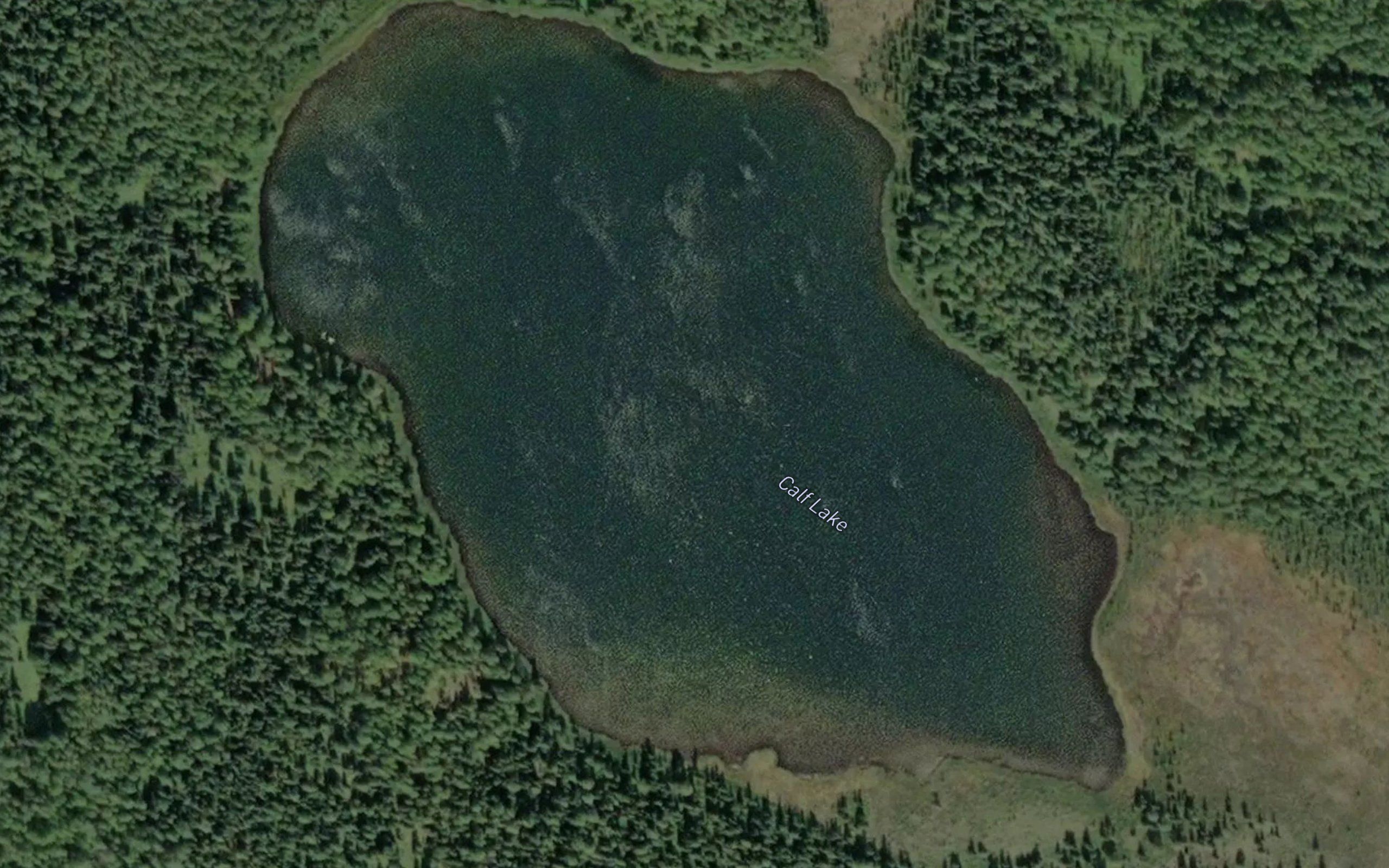 Calf Lake