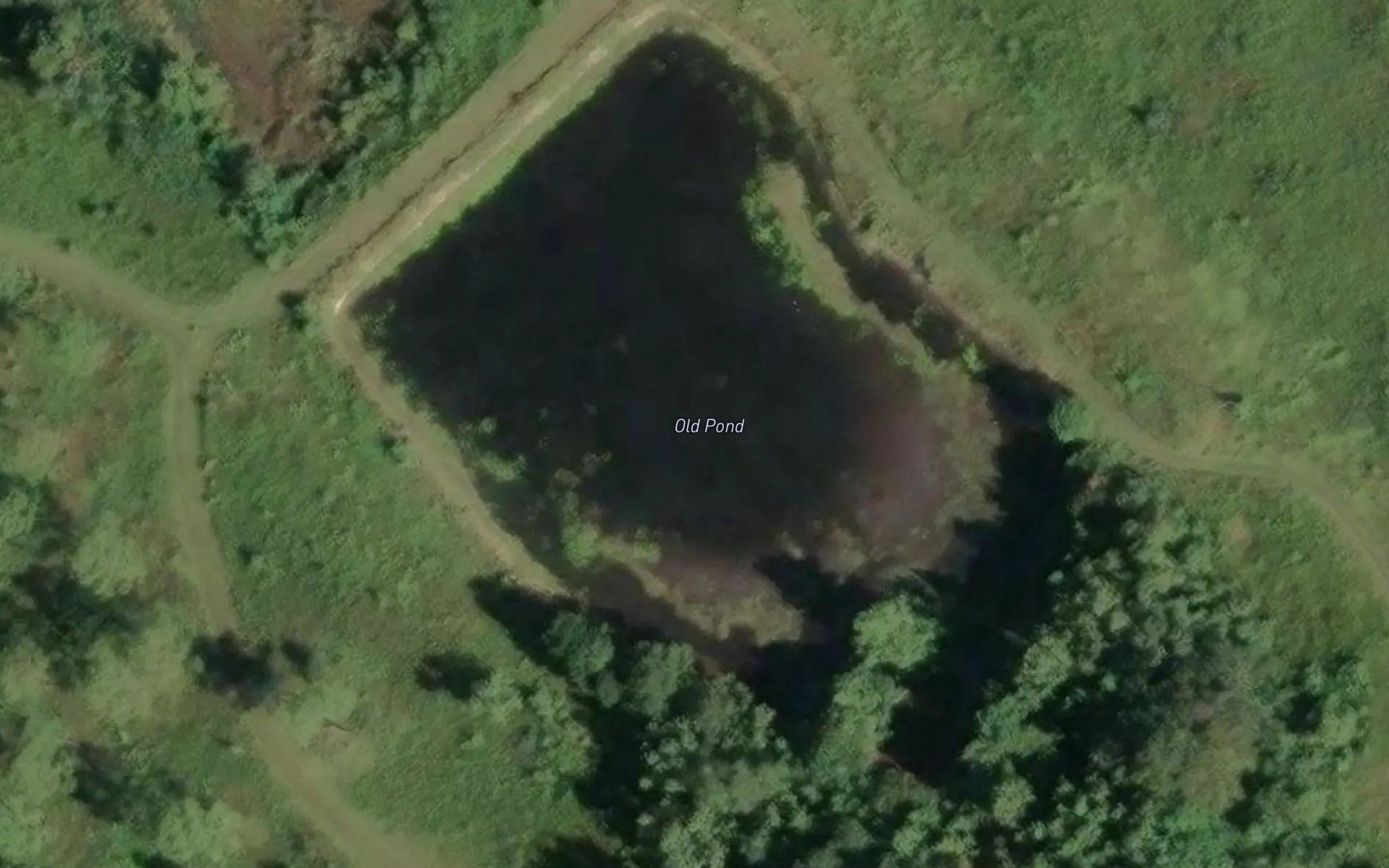 Old Pond