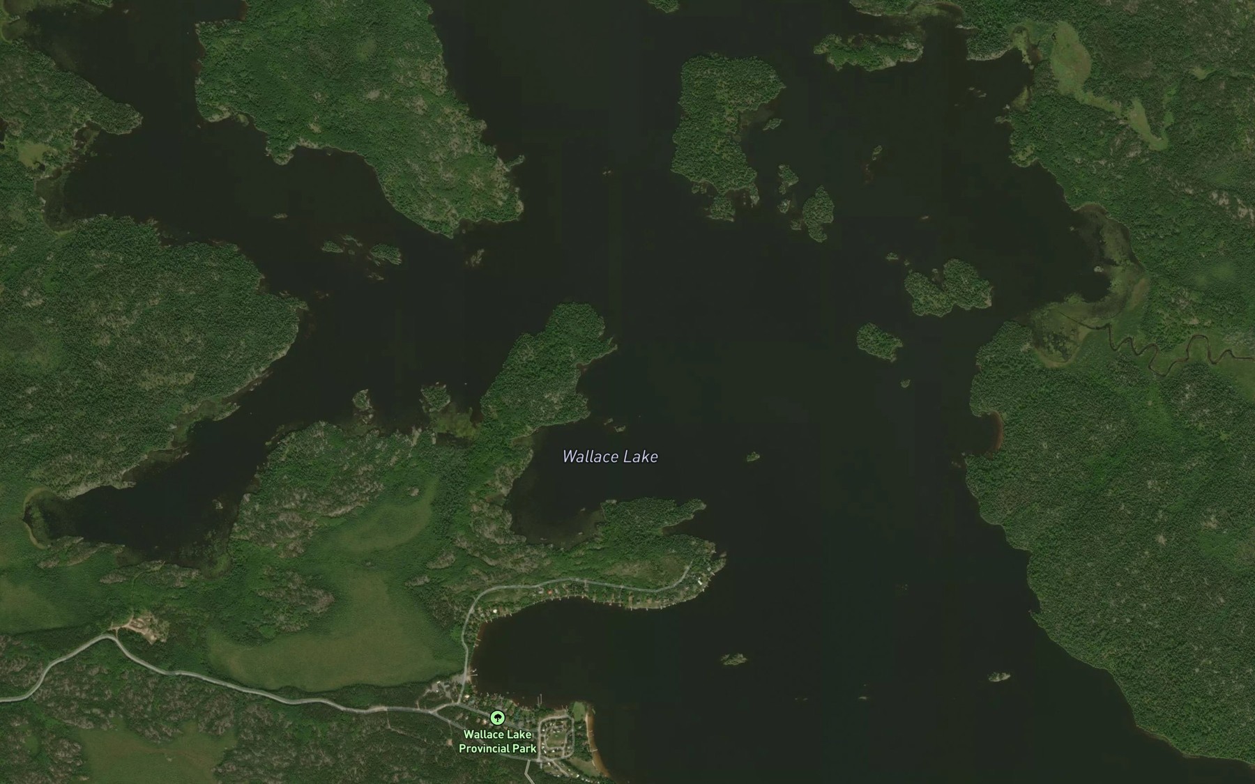 Satellite map of the Wallace Lake