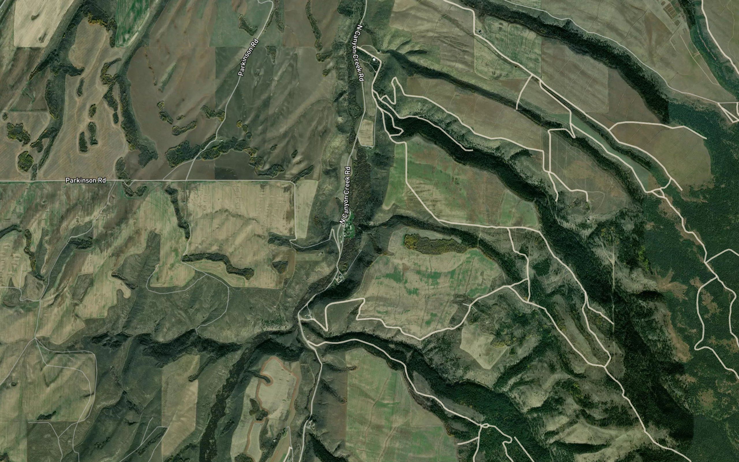 Pincock Hot Springs