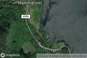 Hammarvollbukta